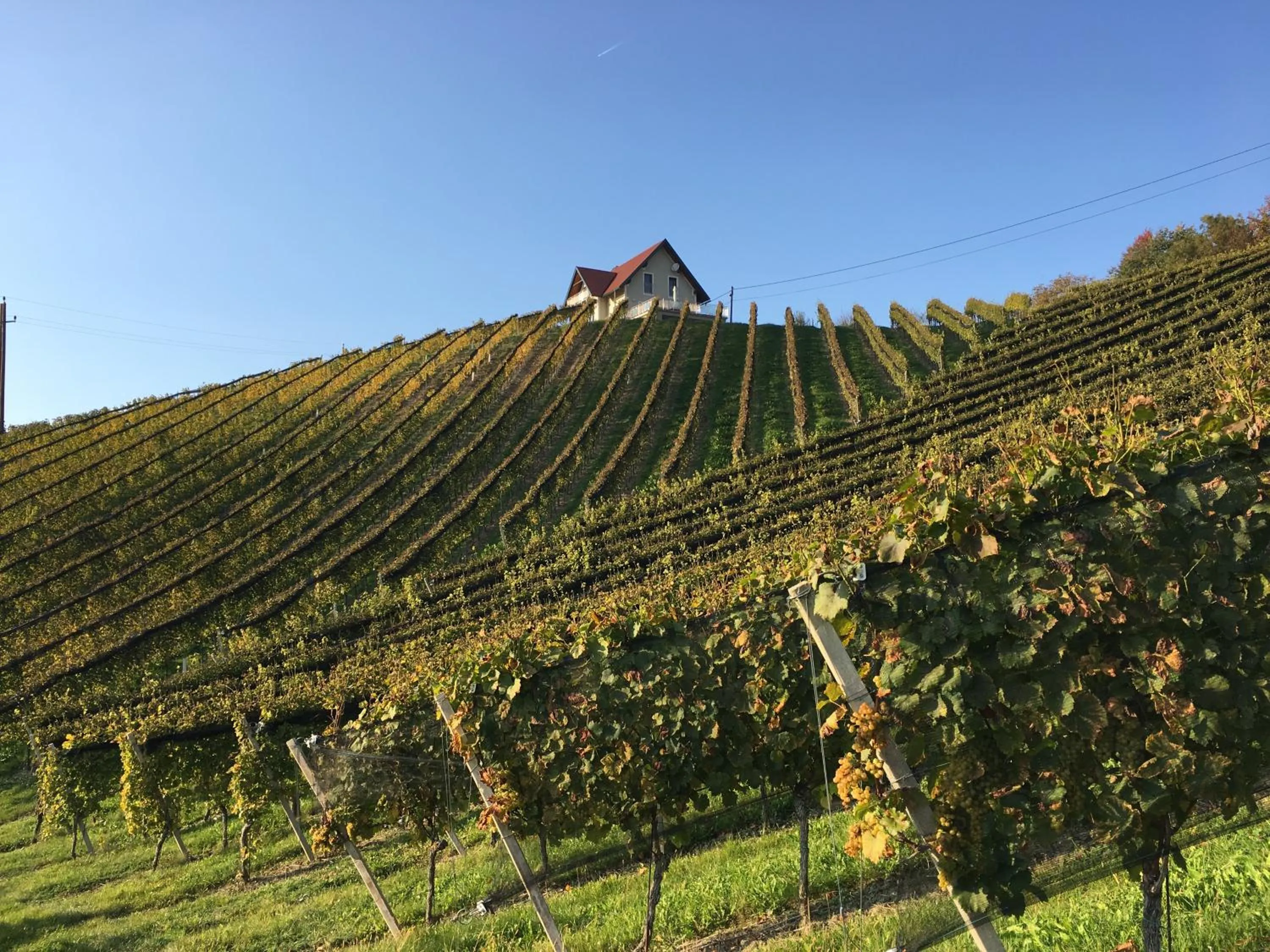 Natural landscape in Weingartenhaus