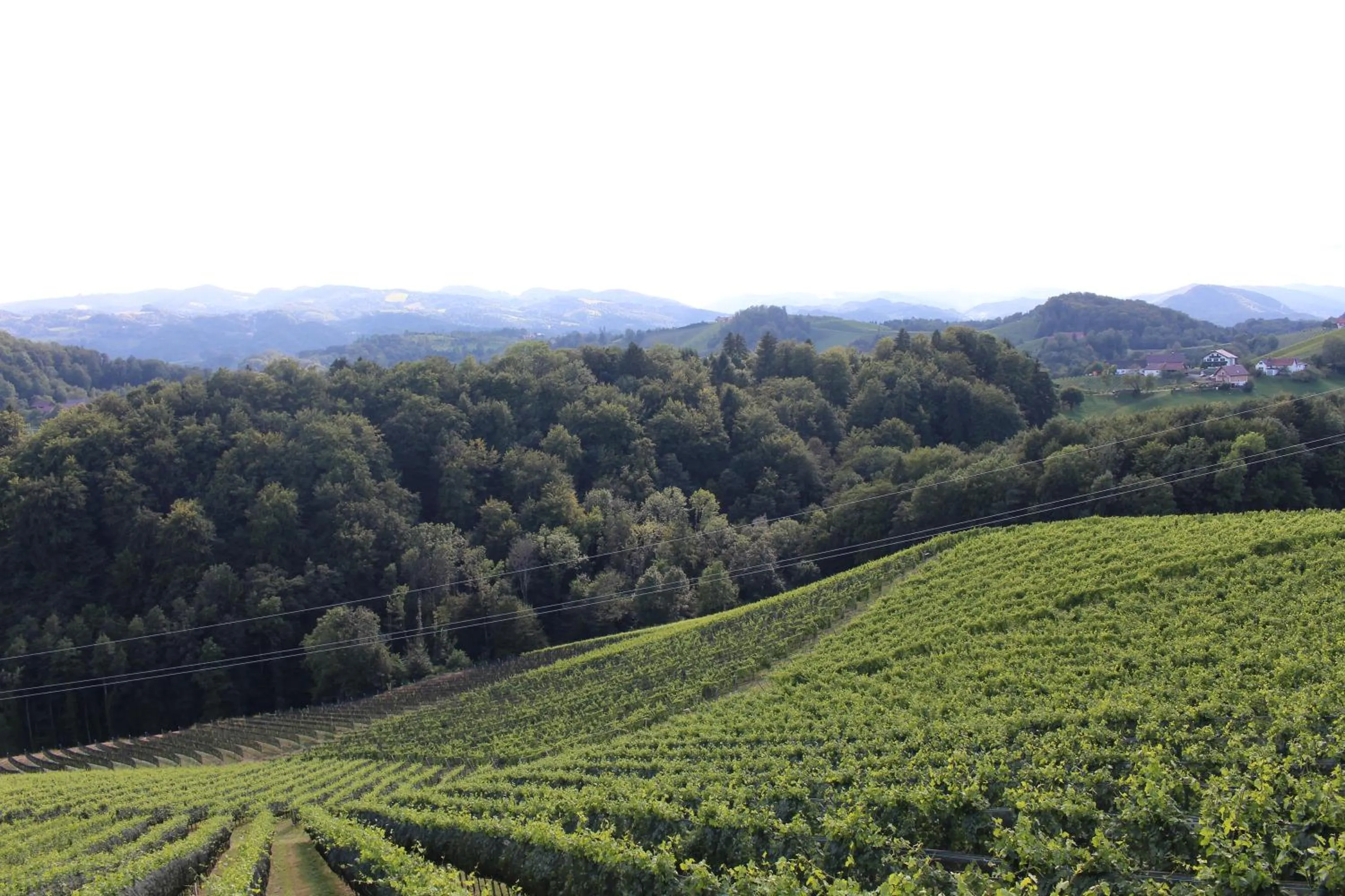 View (from property/room) in Weingartenhaus