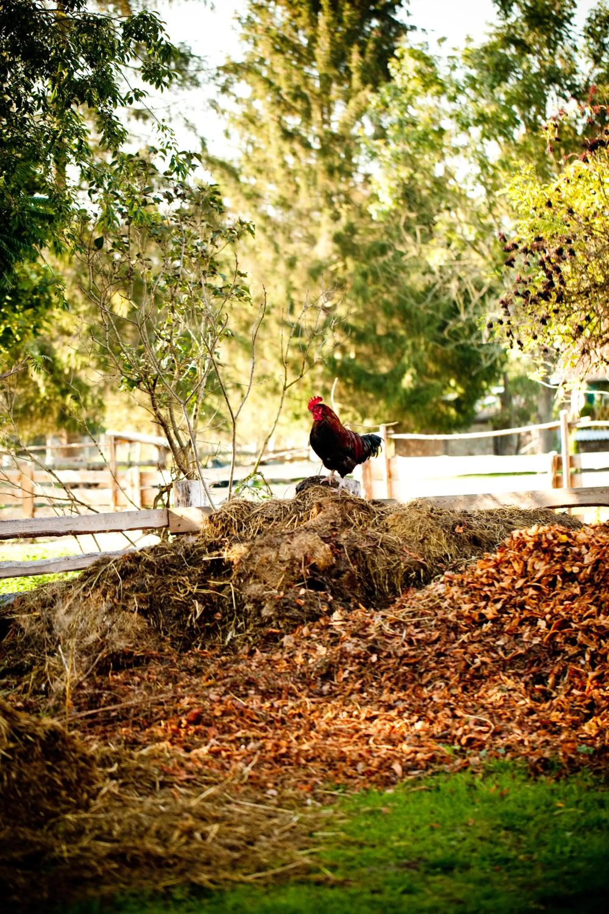 Garden in Gut Boltenhof