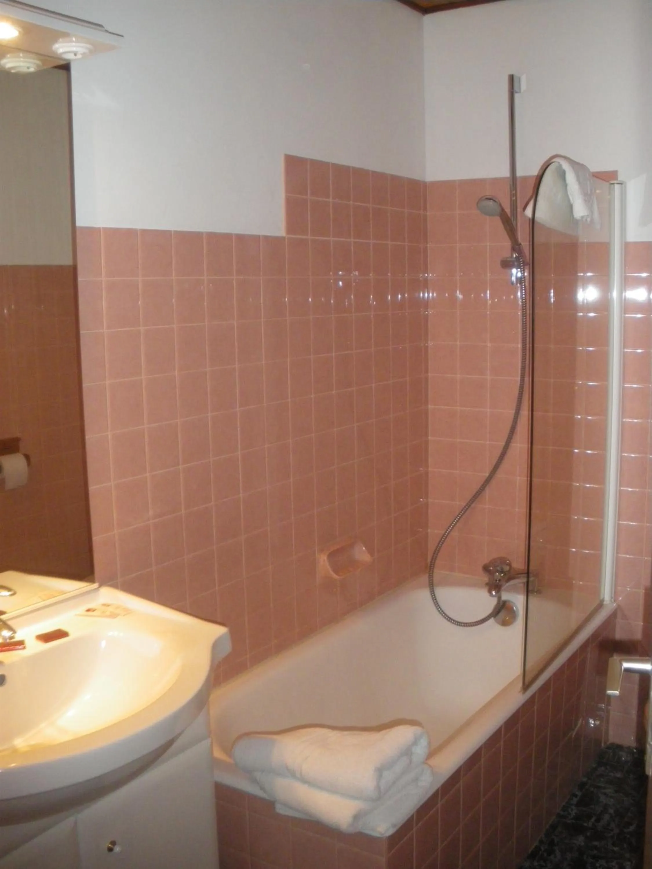 Bathroom in Hotel Le Grand Tetras