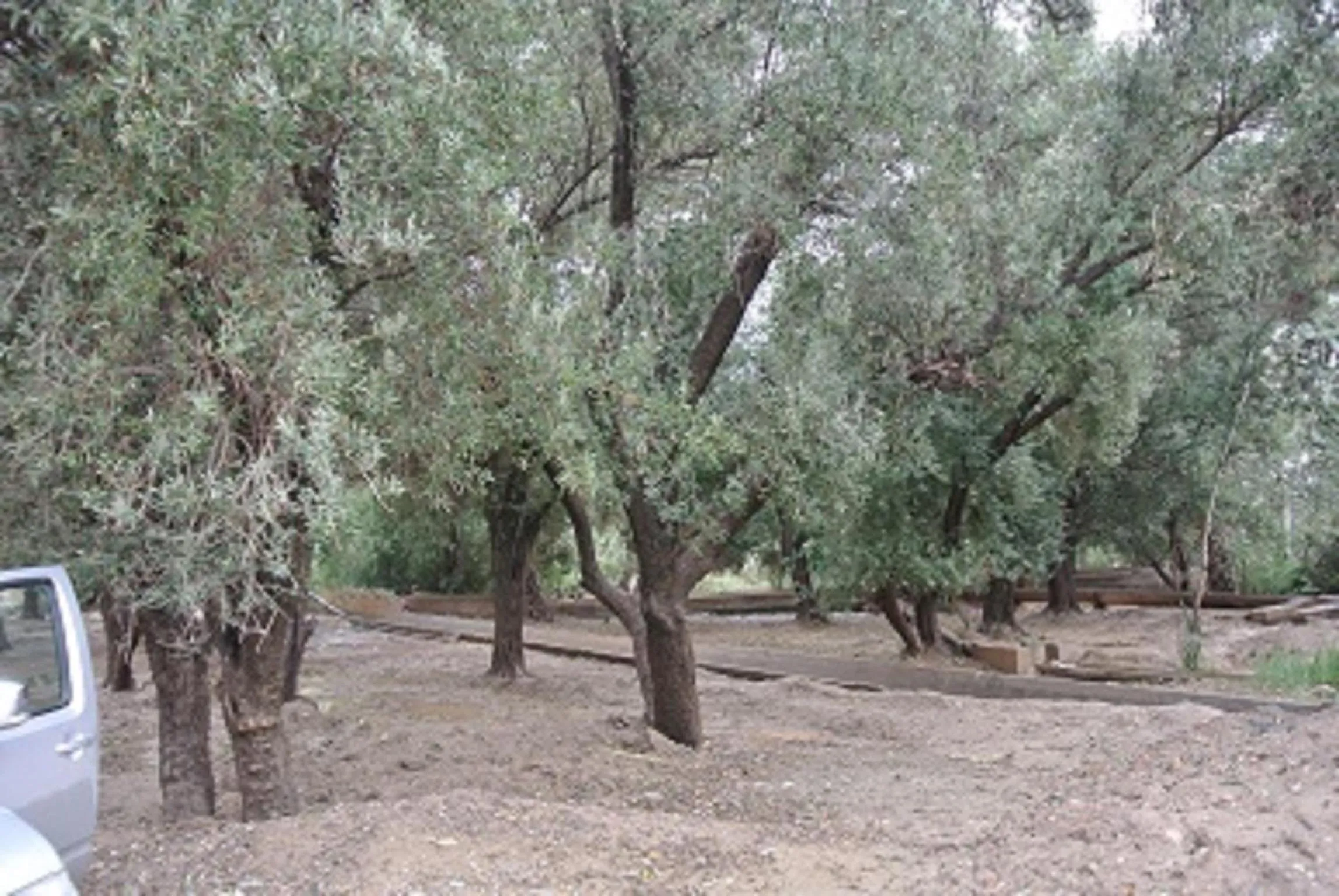 Property building in Riad Anma