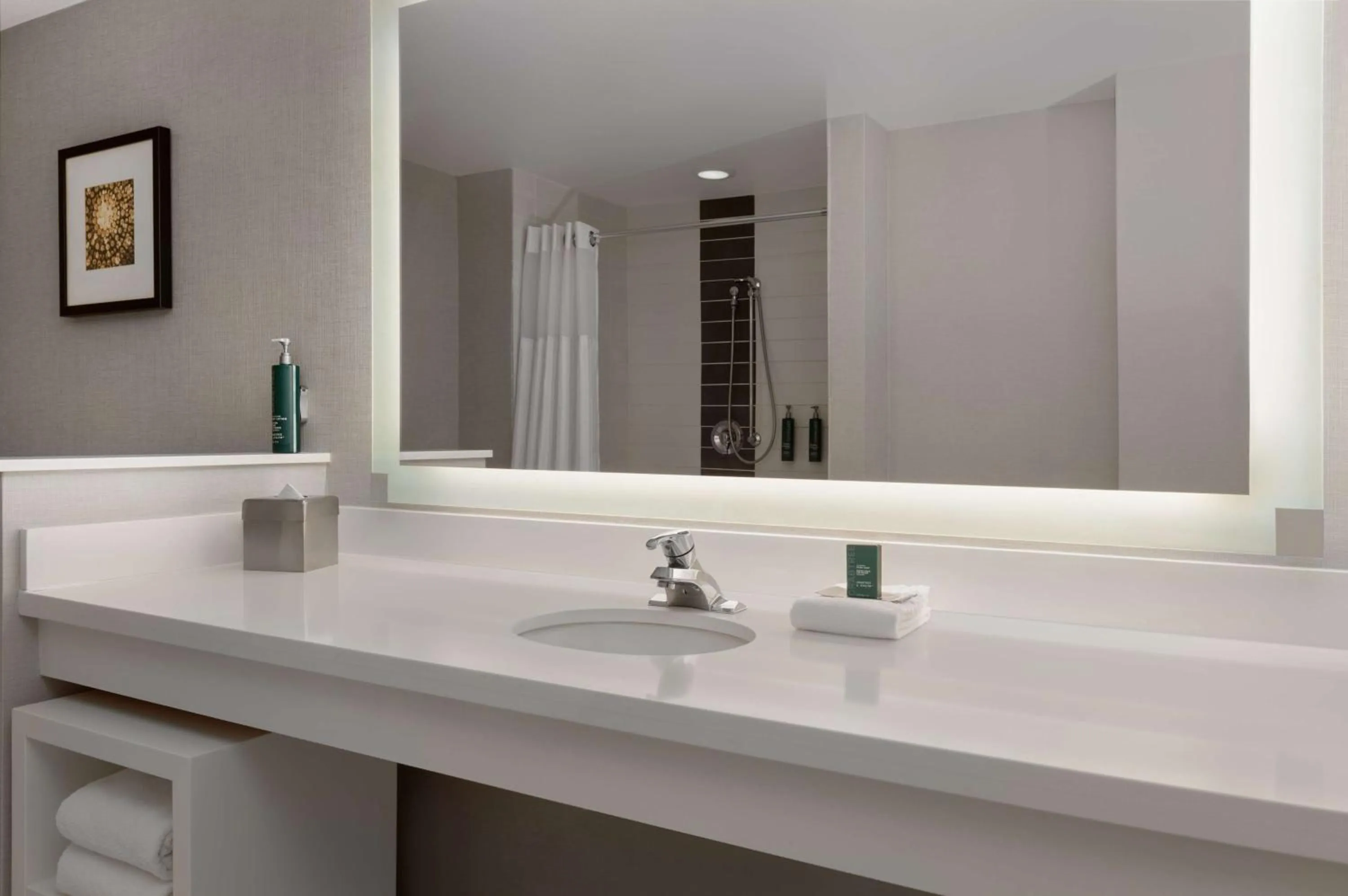 Bathroom in DoubleTree by Hilton Las Vegas East Flamingo