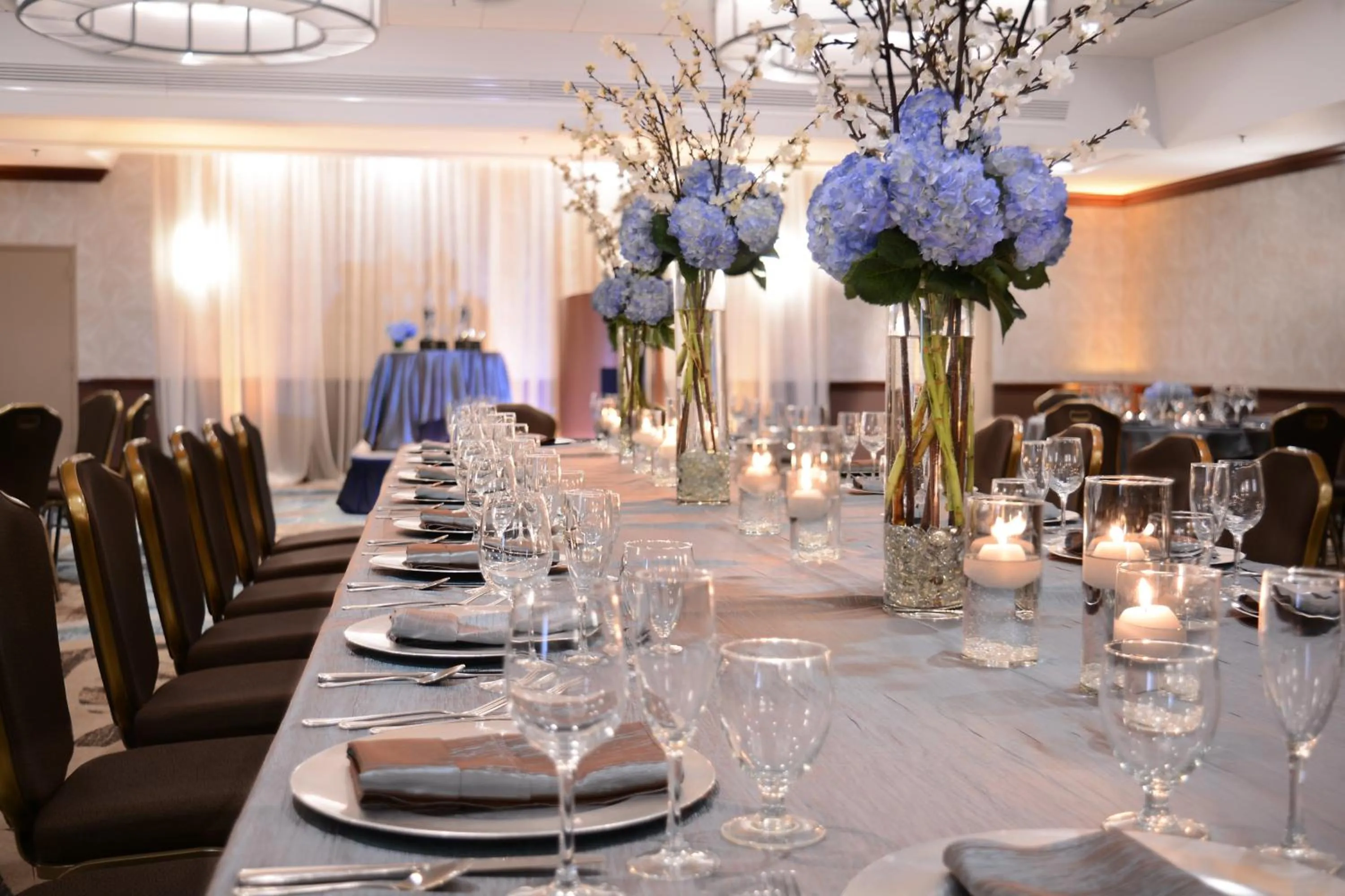 Meeting/conference room in Crowne Plaza Crystal City-Washington, D.C. by IHG