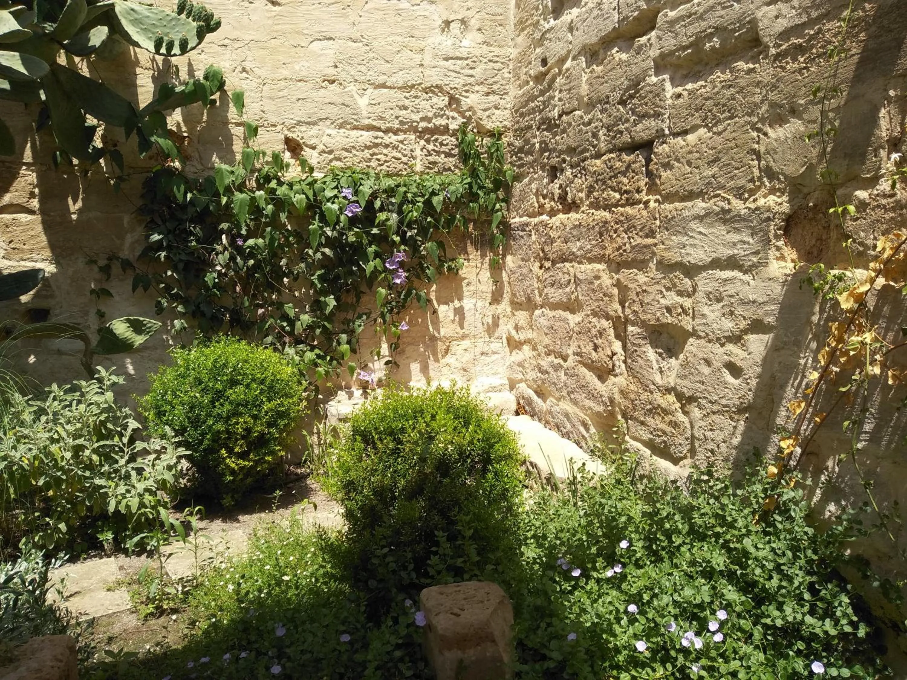 Garden in Il Giardino Di Benedetta