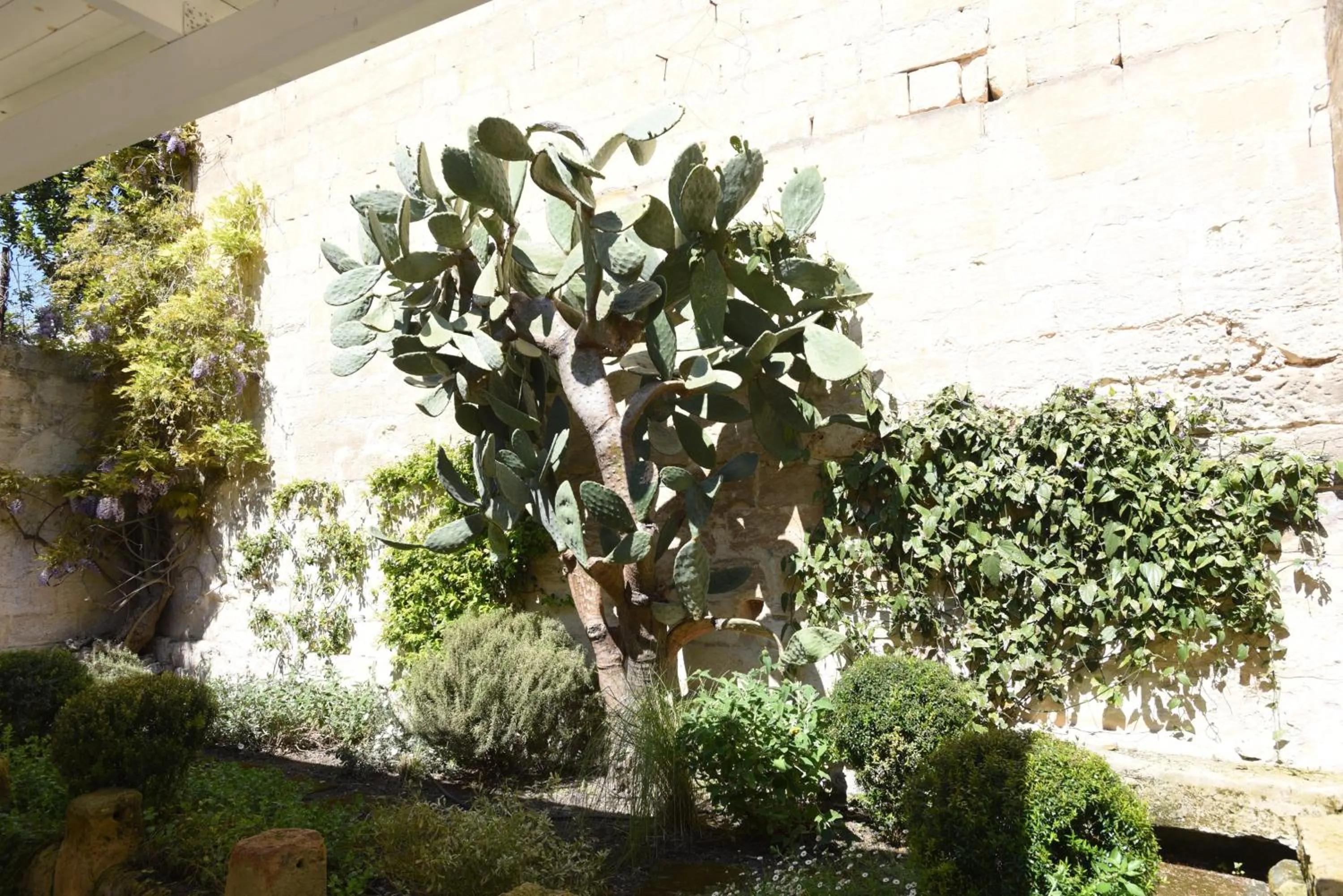 Garden in Il Giardino Di Benedetta