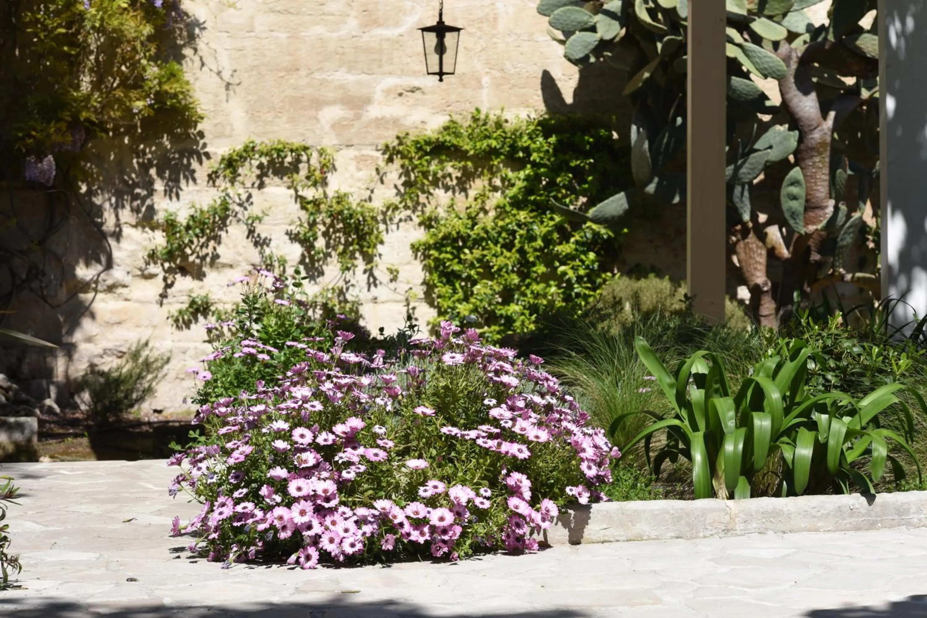 Garden in Il Giardino Di Benedetta