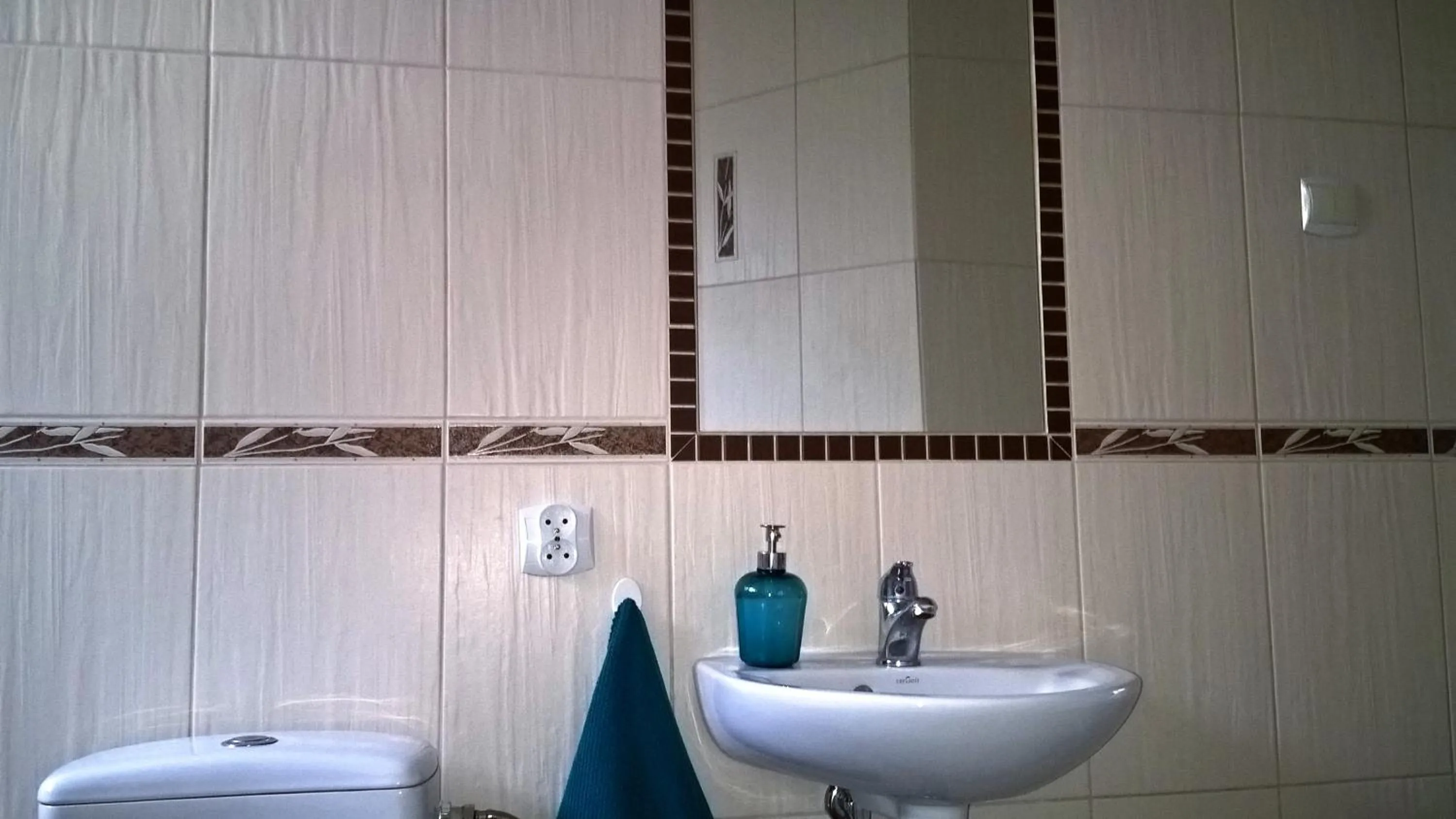 Toilet in Turkus