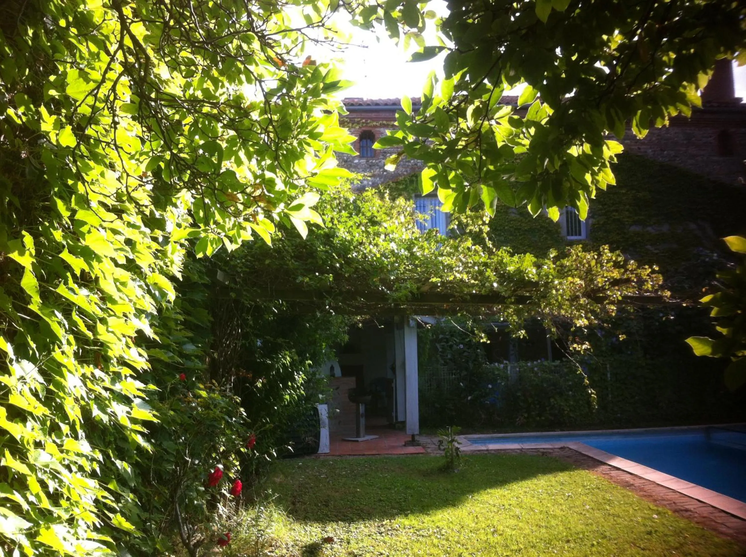 Swimming pool in Gentil'Home - Toulouse B&B Prestige