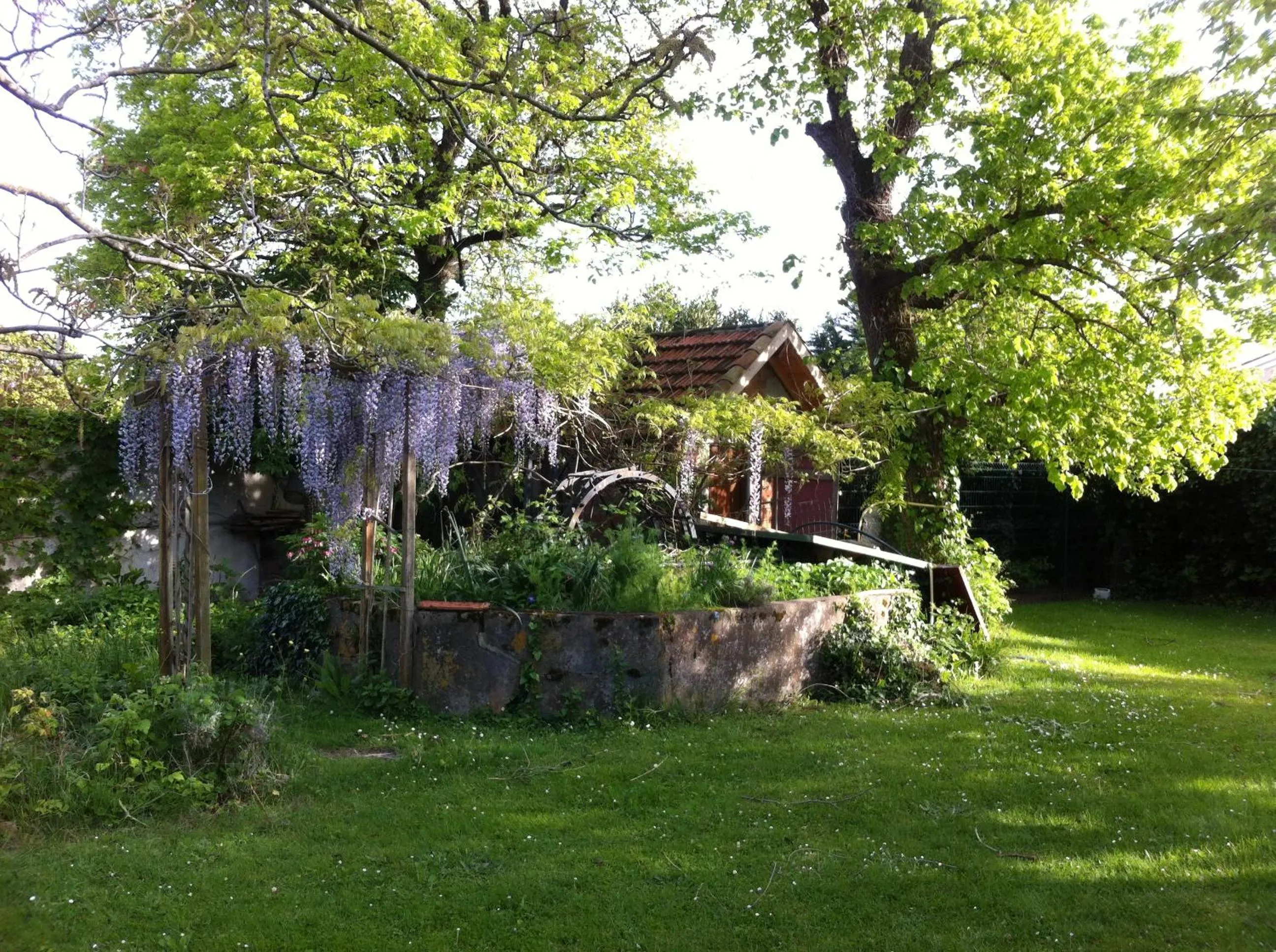 Garden in Gentil'Home - Toulouse B&B Prestige
