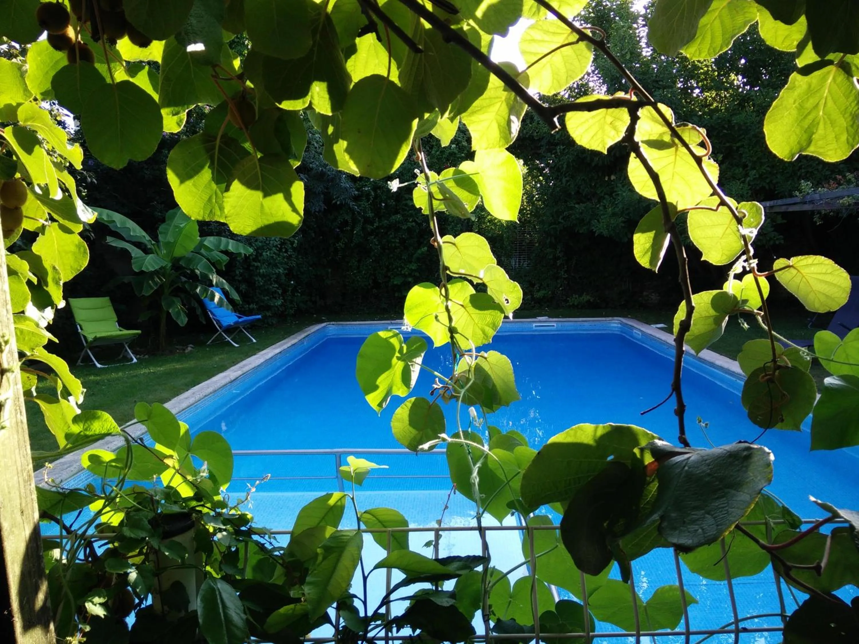 Swimming pool in Gentil'Home - Toulouse B&B Prestige