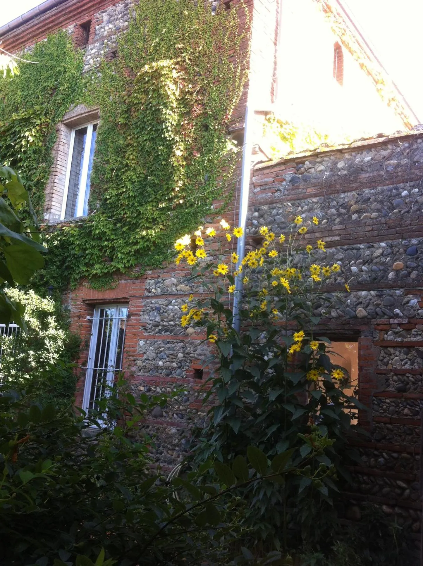 Communal kitchen in Gentil'Home - Toulouse B&B Prestige