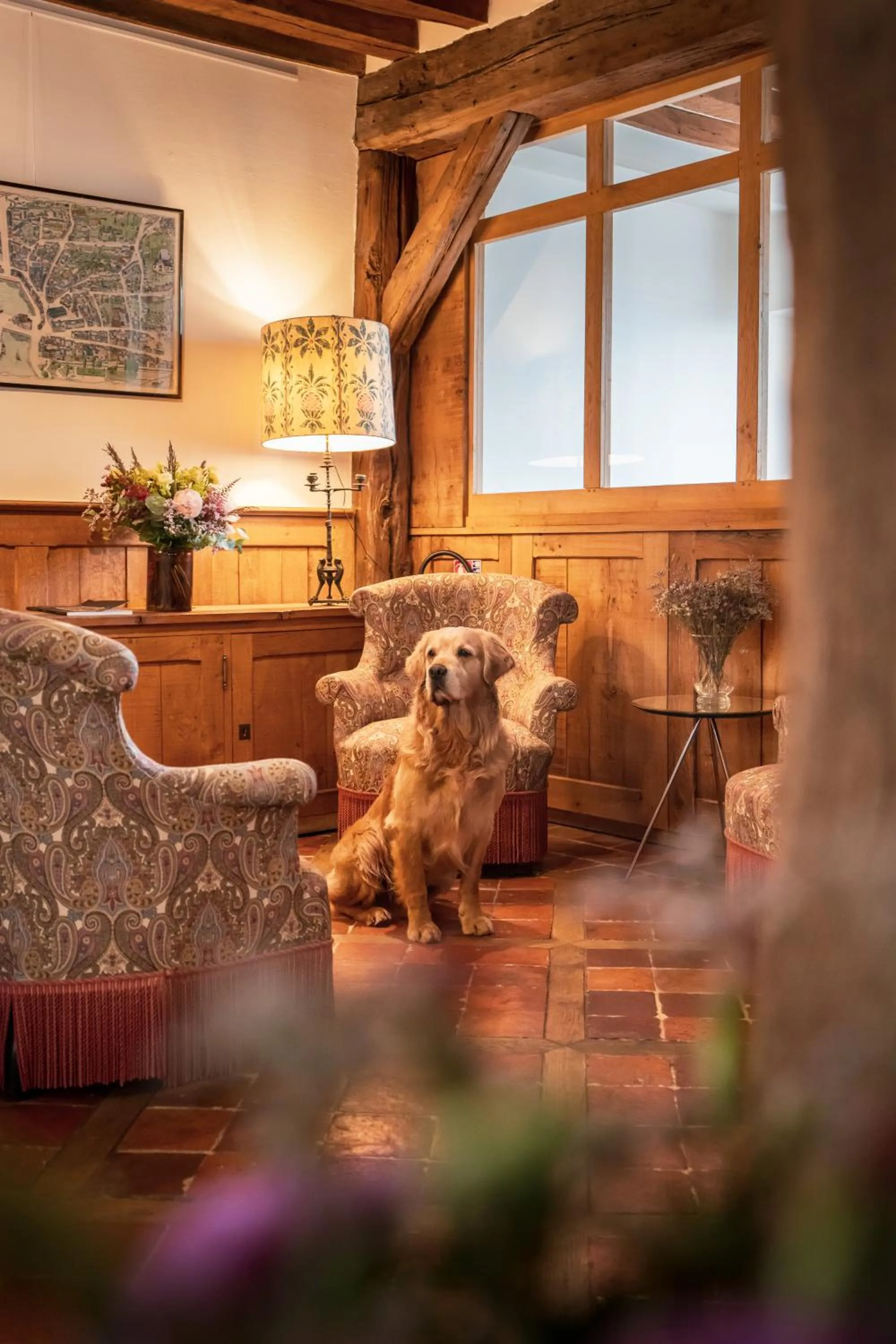 Pets in L'Absinthe Hôtel