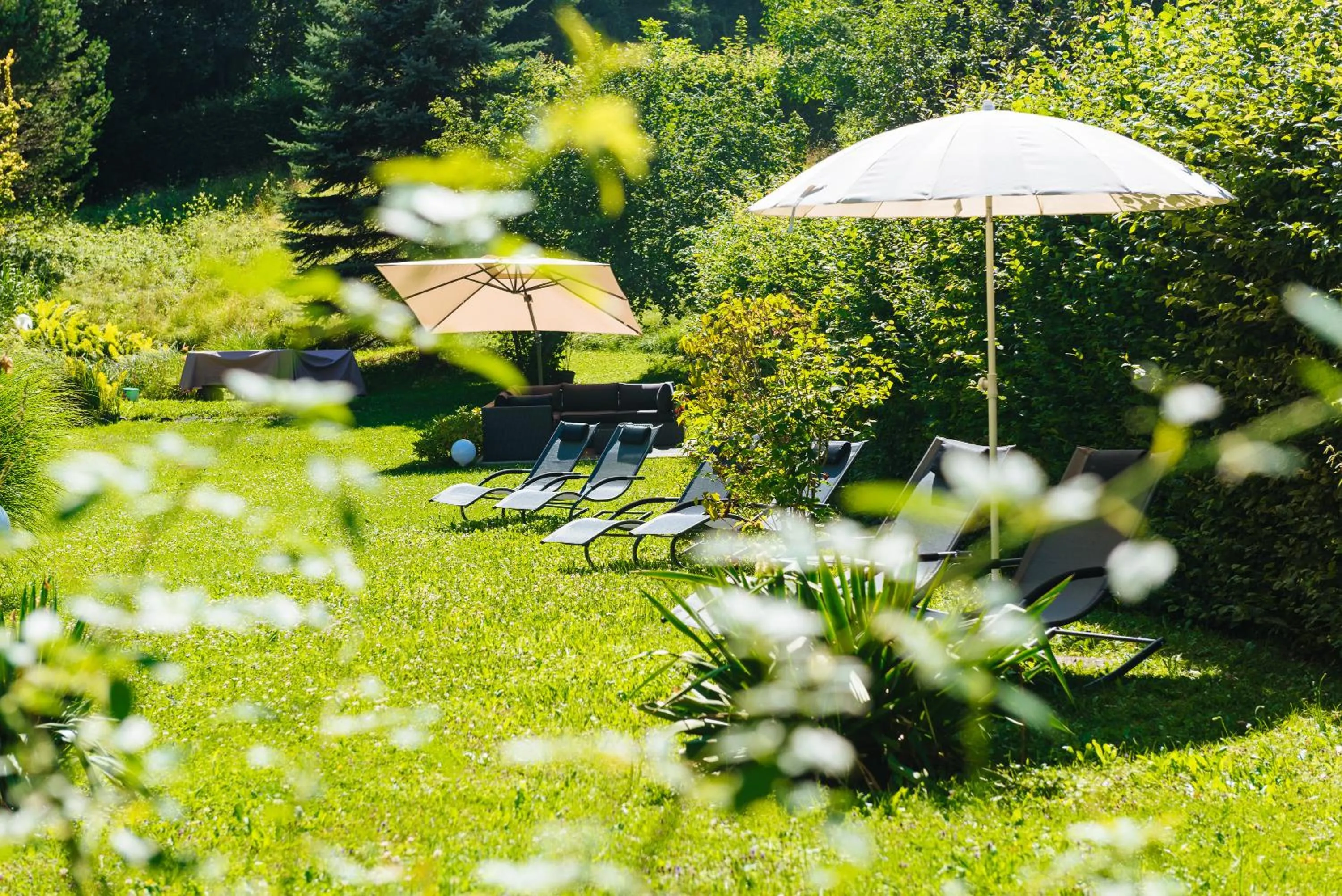 Day in Hotel Eden Park