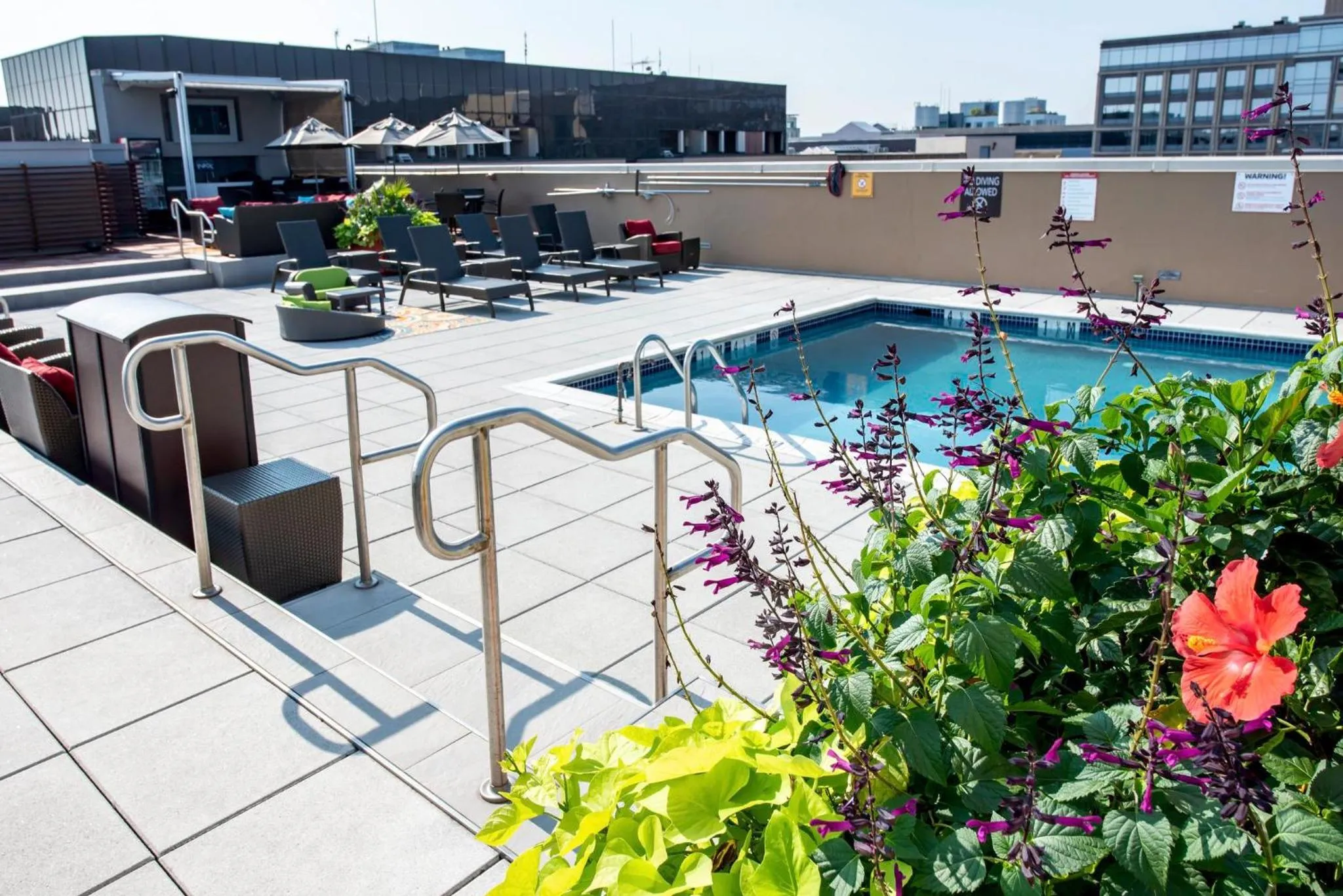 Swimming pool in Holiday Inn Washington Capitol-National Mall by IHG