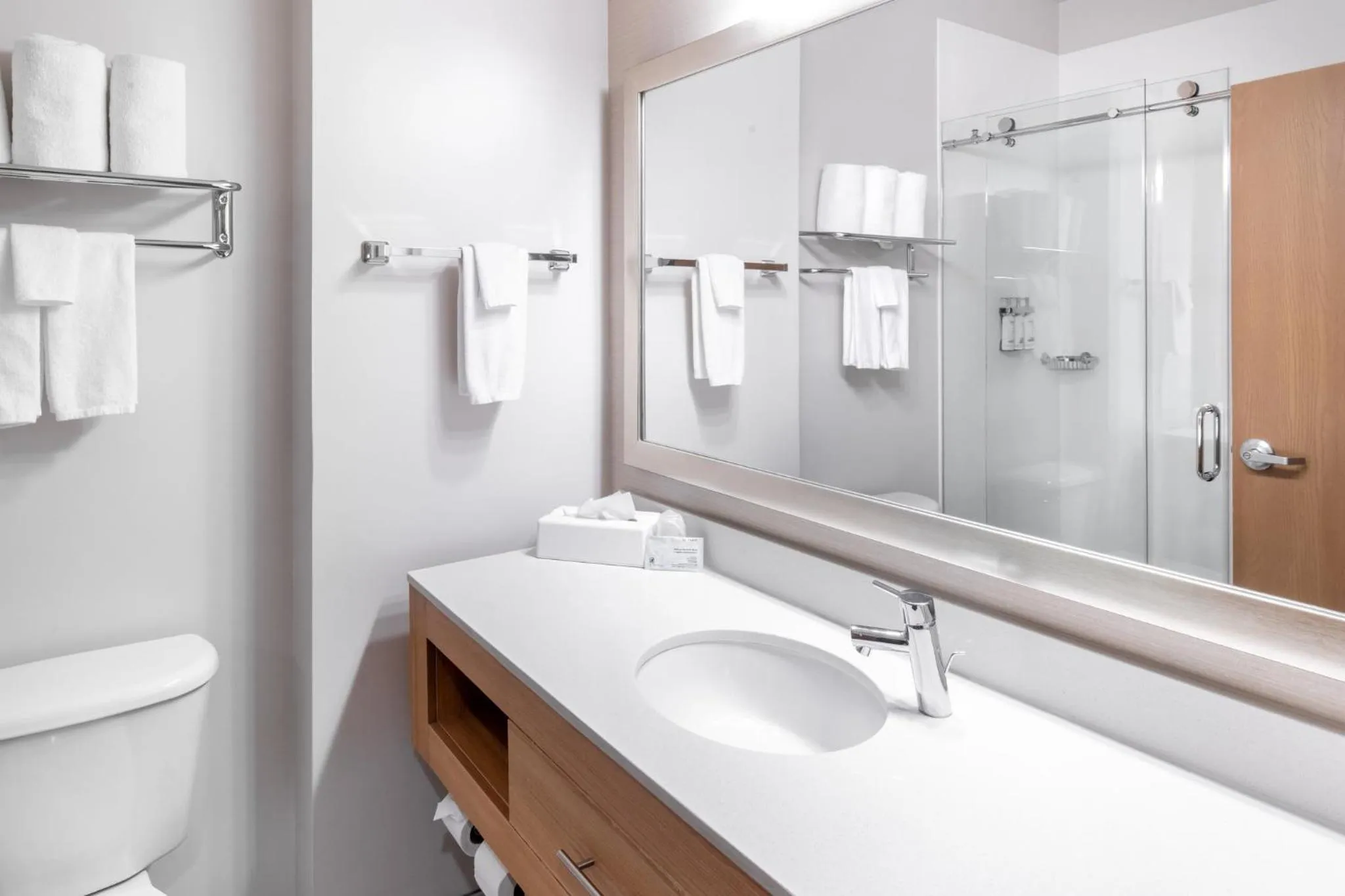 Bathroom in Holiday Inn Express Hotel and Suites - Henderson by IHG