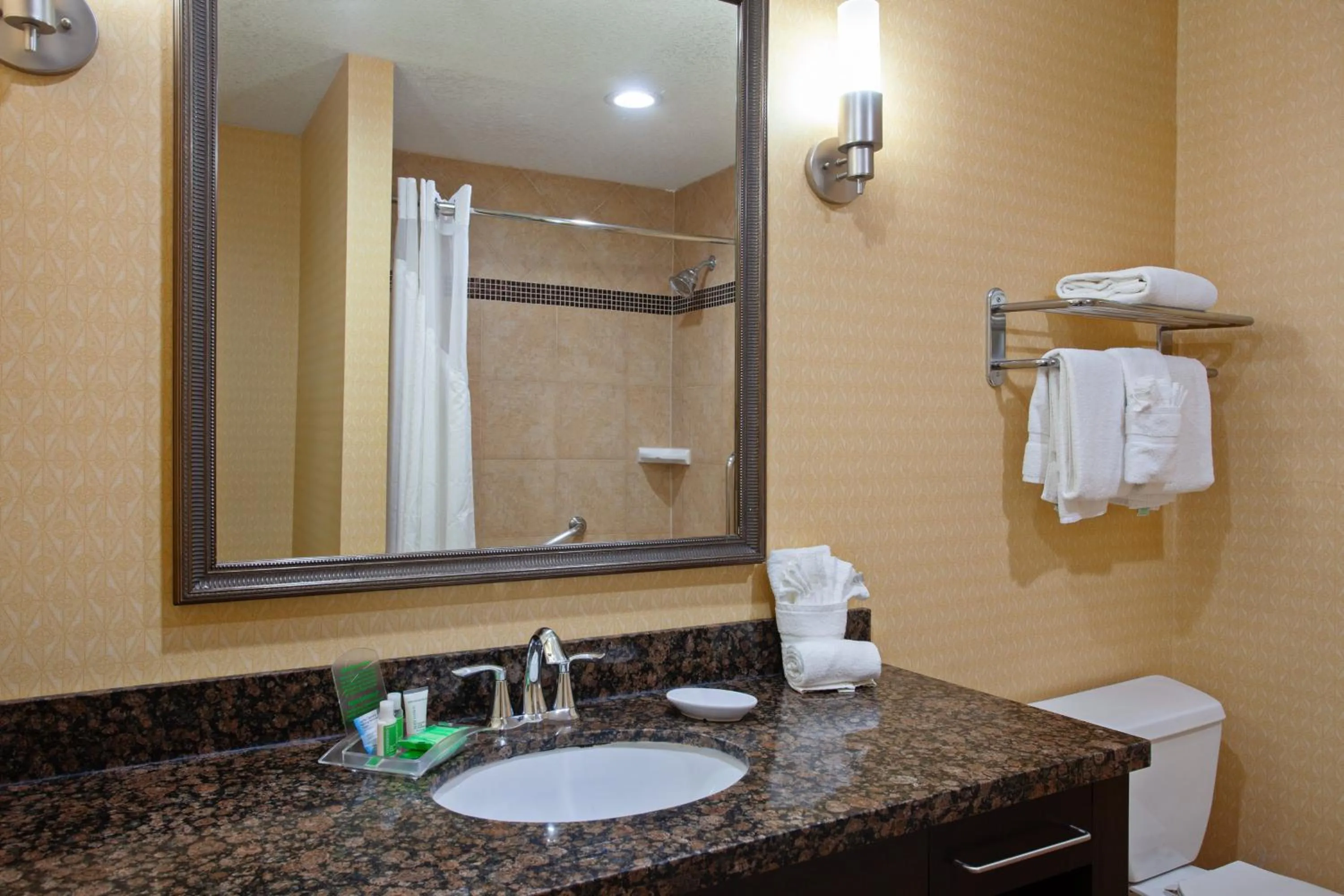 Bathroom in Holiday Inn & Suites San Mateo - SFO by IHG