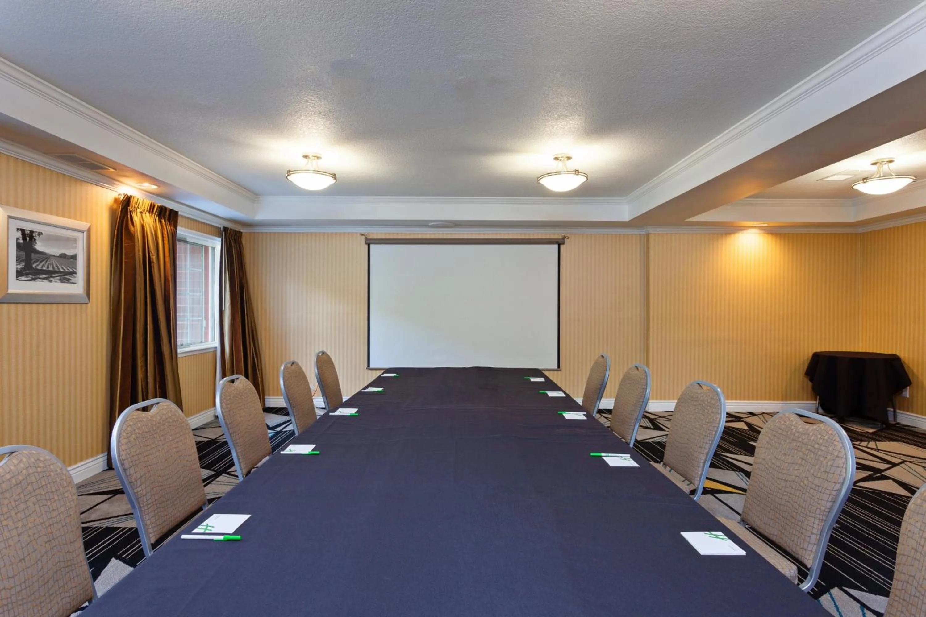 Meeting/conference room in Holiday Inn & Suites San Mateo - SFO by IHG