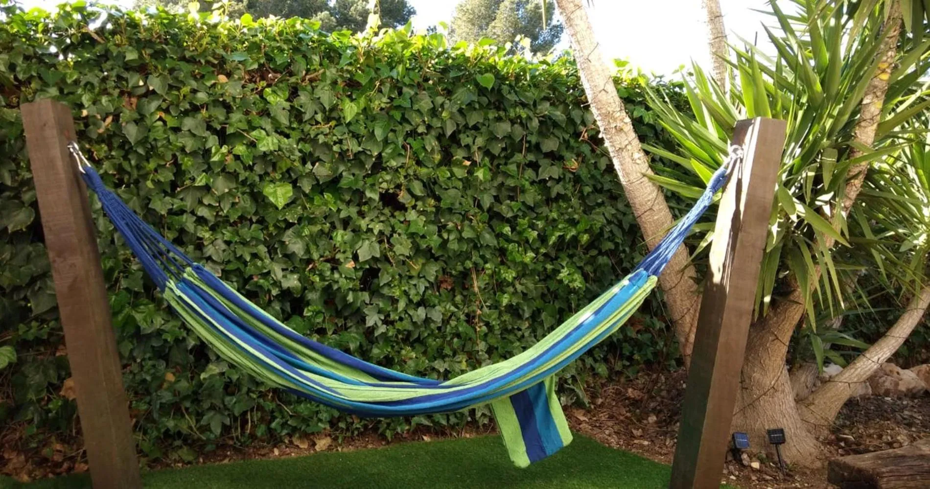 Garden in Casa Garcia