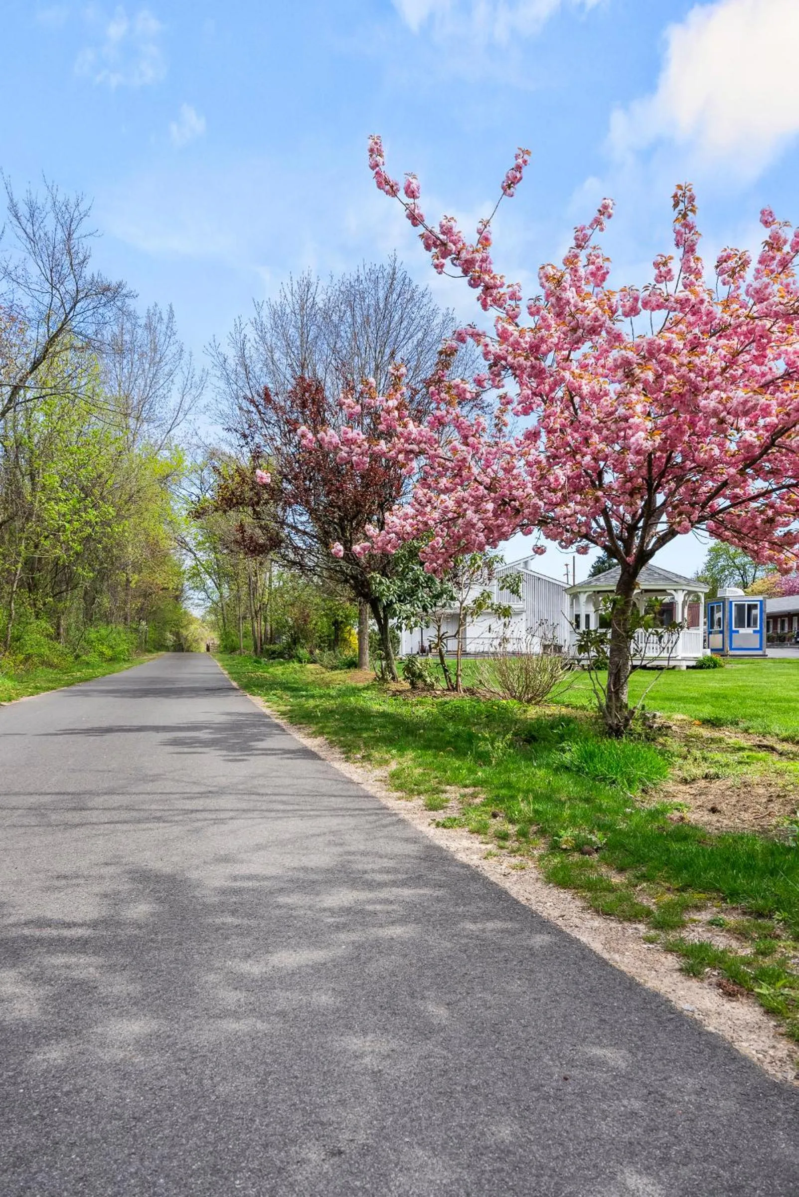 Cycling in Ardsley Acres Hotel Court