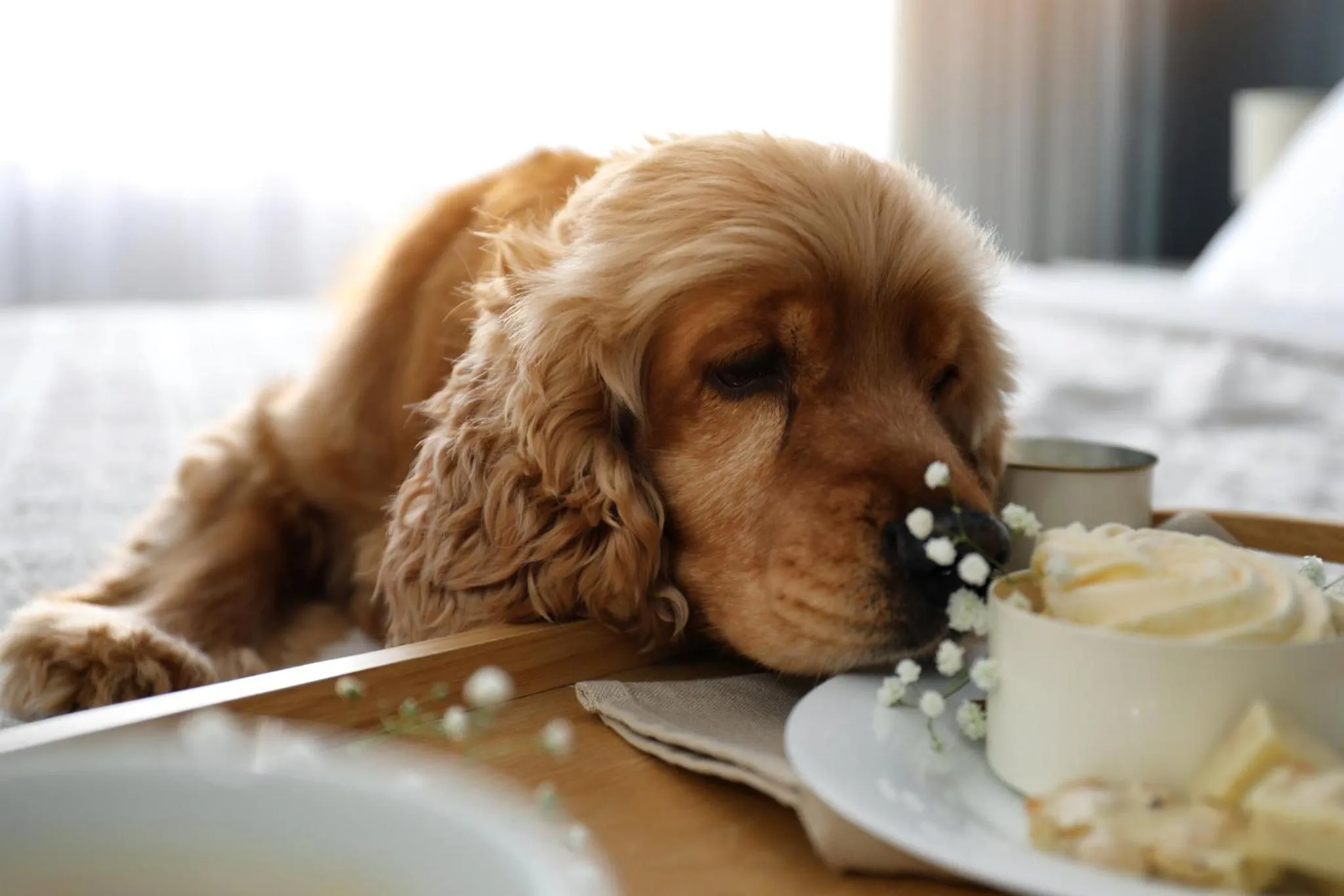 Lobby or reception in Hotel Indigo San Diego - Gaslamp Quarter by IHG