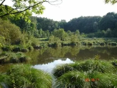 Day in Hotel Reifenstein