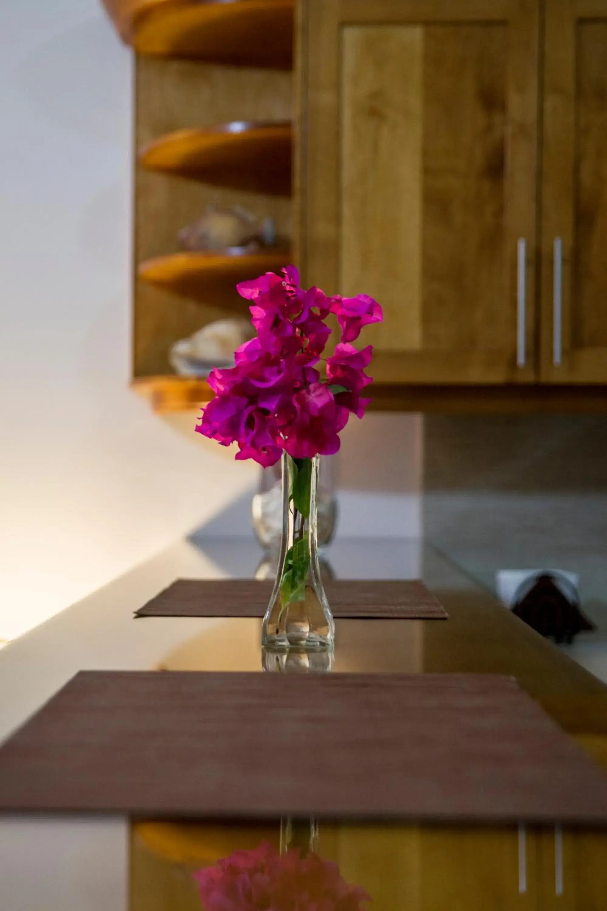 Queen Studio in Bugambilias Suites Queen Studio in Bugambilias Suites