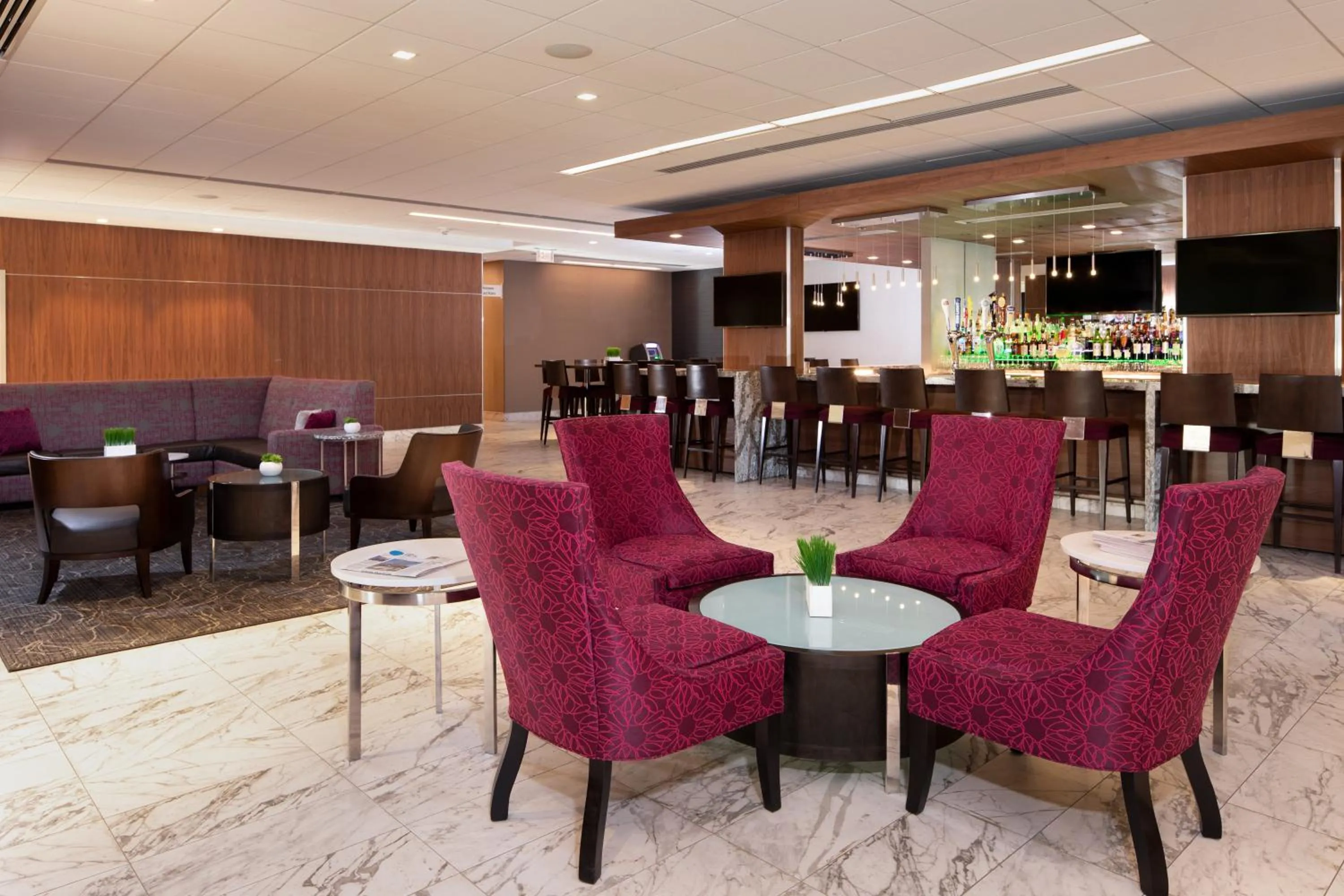 Lounge or bar in Holiday Inn Washington-College Pk I-95