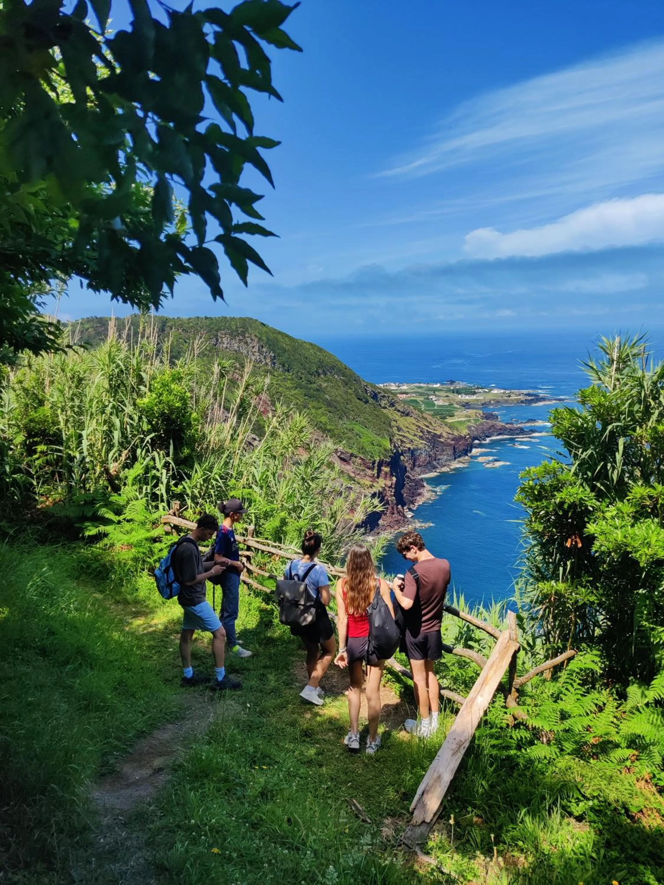 Activities in Out of the Blue