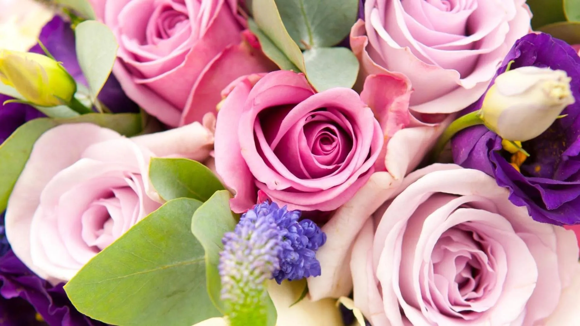 Other in Kempinski Hotel Aqaba