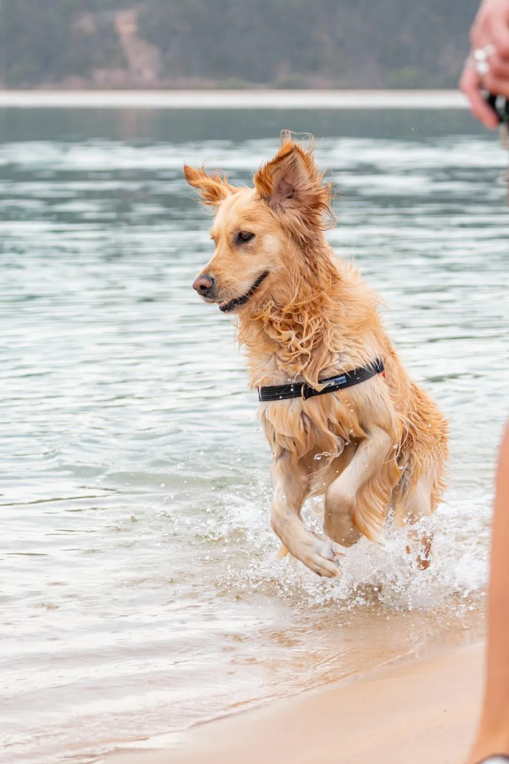 Beach in Tween Waters Merimbula