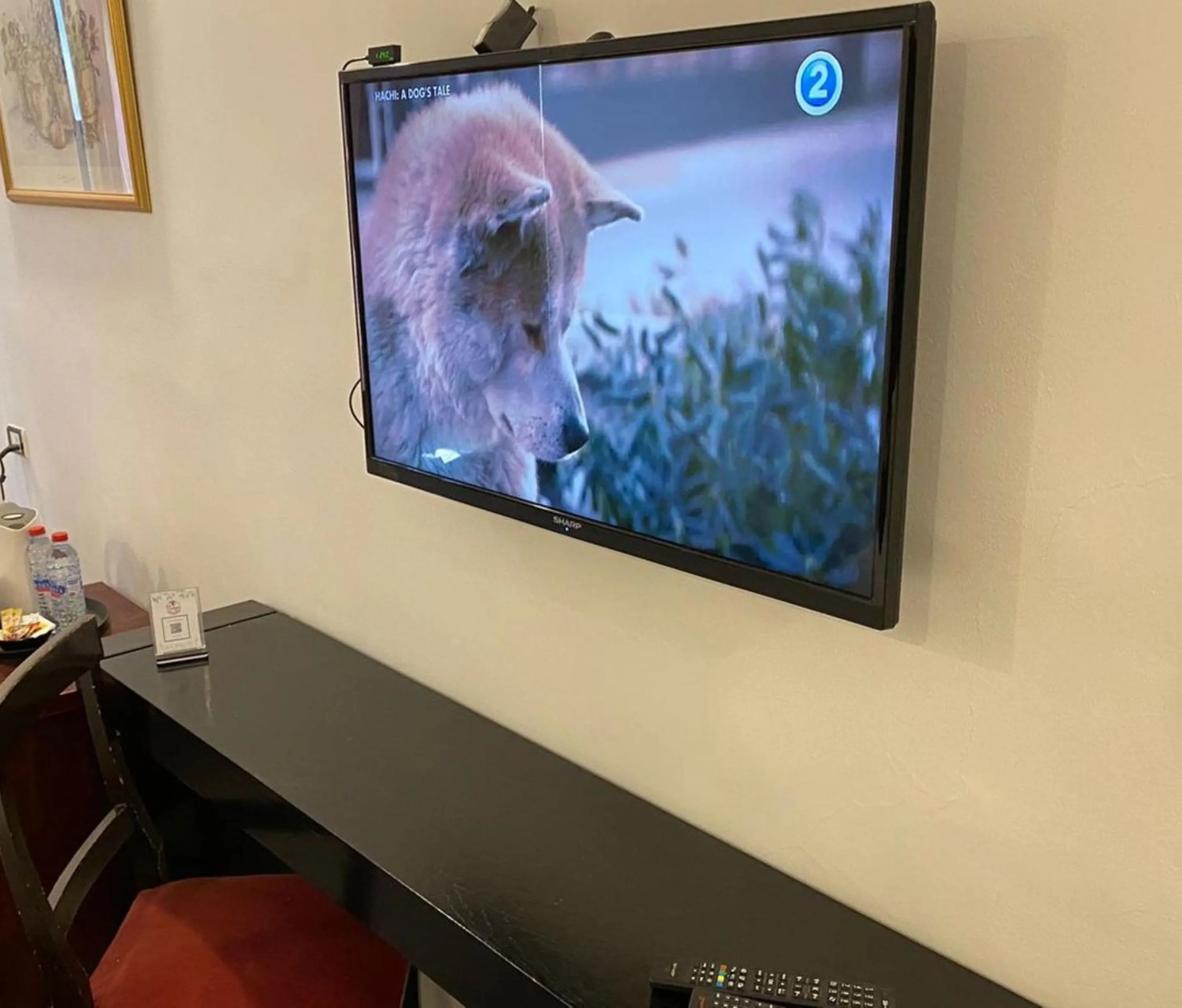 TV and multimedia in Torino Hotel Amman