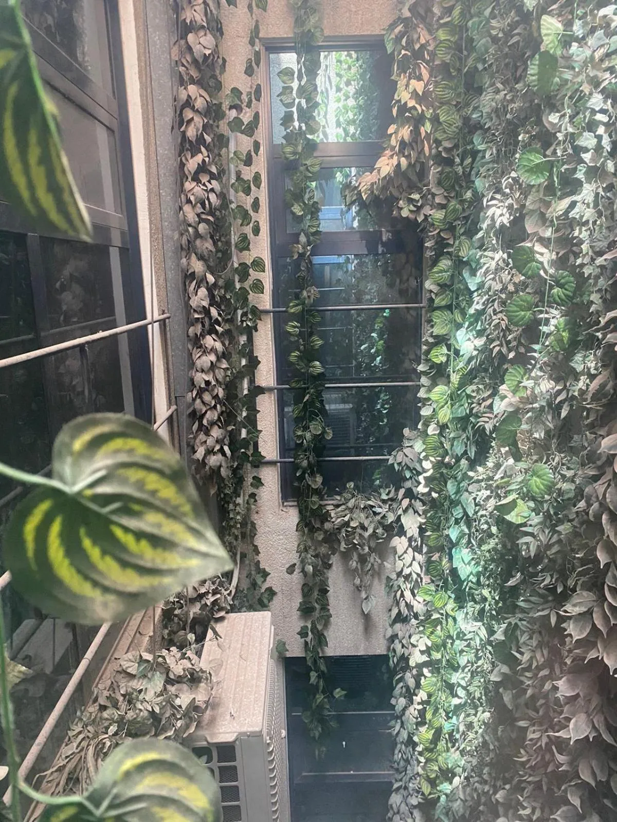 View (from property/room) in Torino Hotel Amman