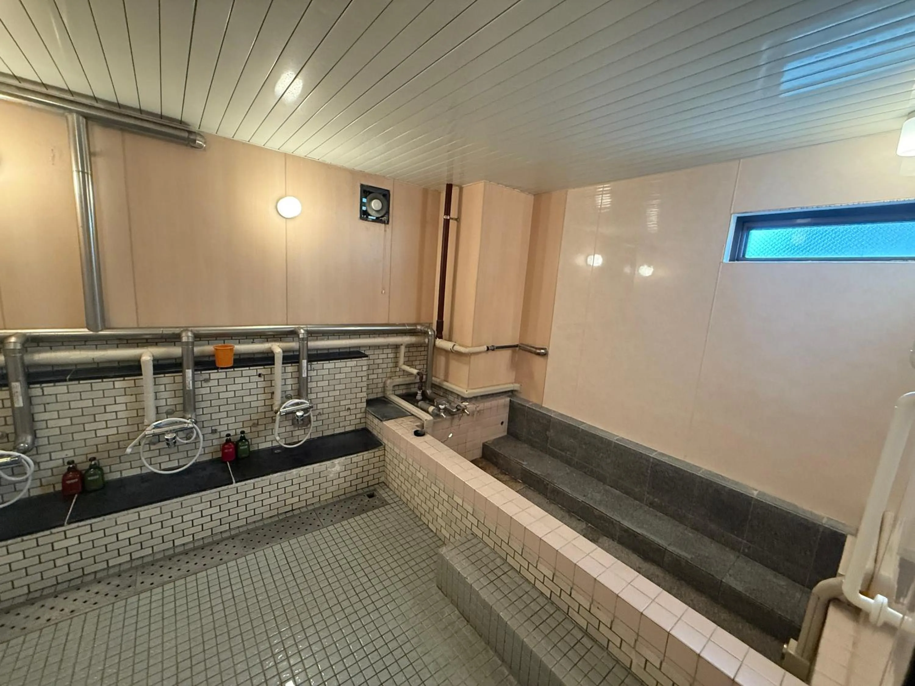 Public Bath in Hotel Kamoike Plaza