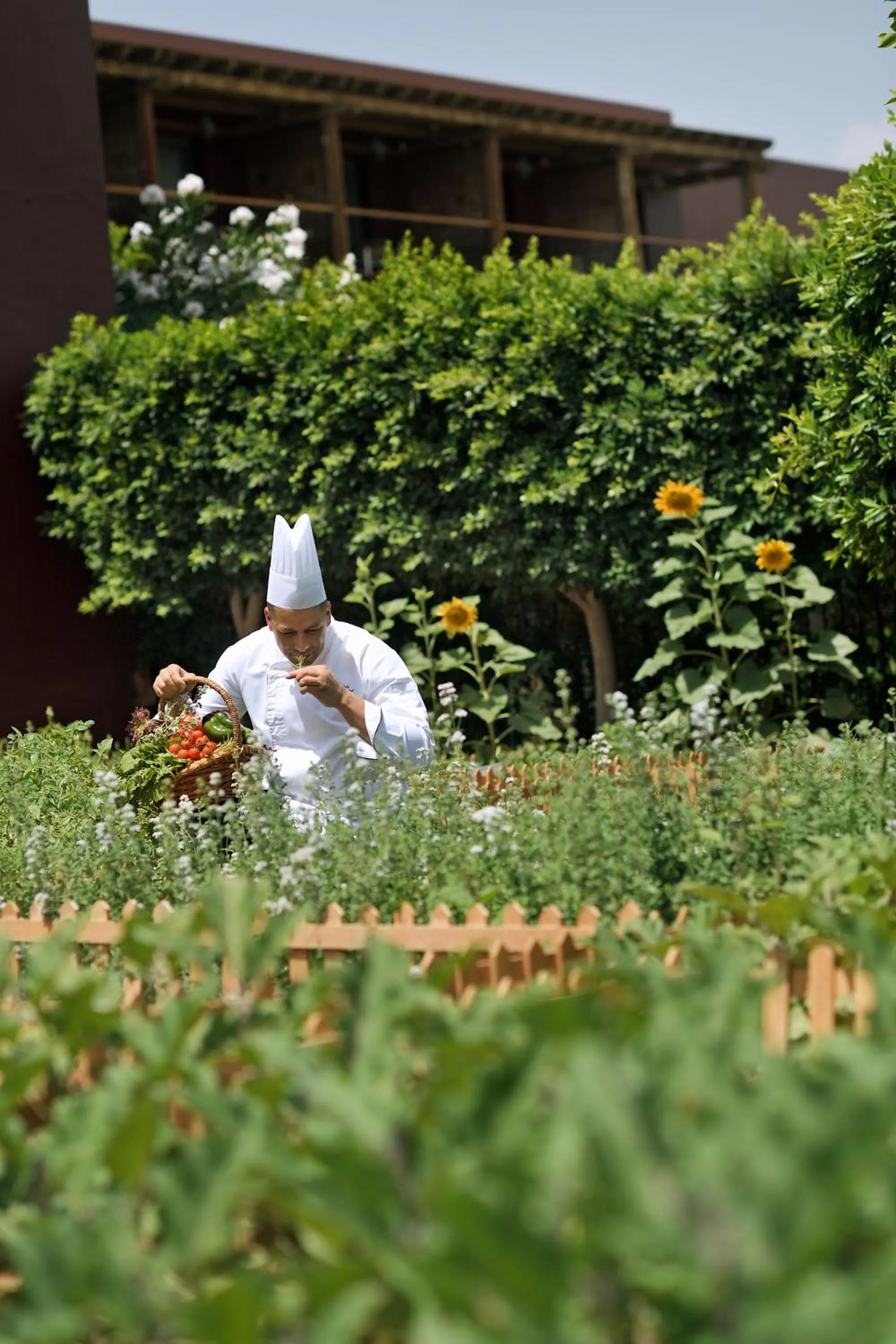 Activities in Mövenpick Resort & Spa Tala Bay Aqaba