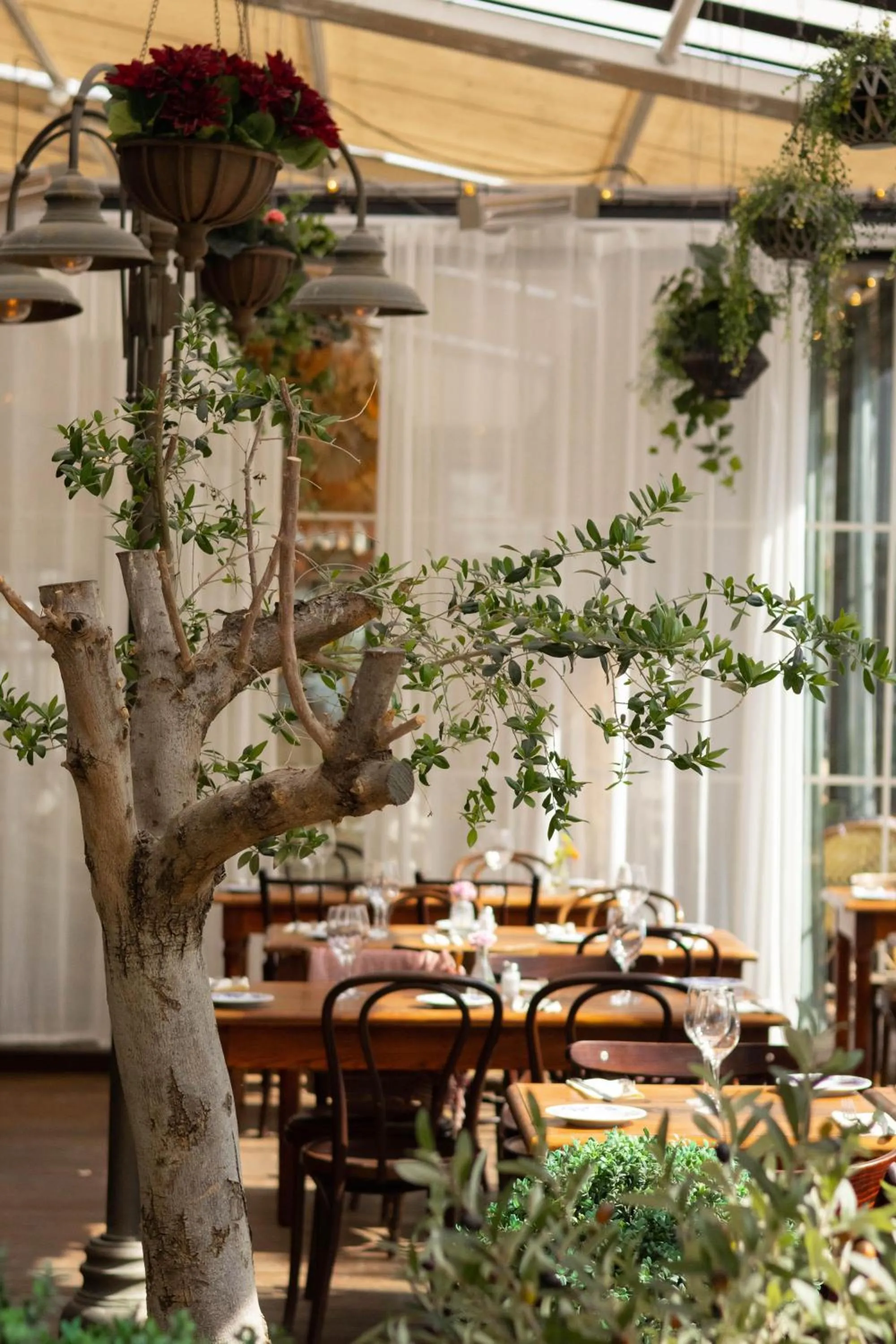 Restaurant/places to eat in Hotel & Ristorante Bellora