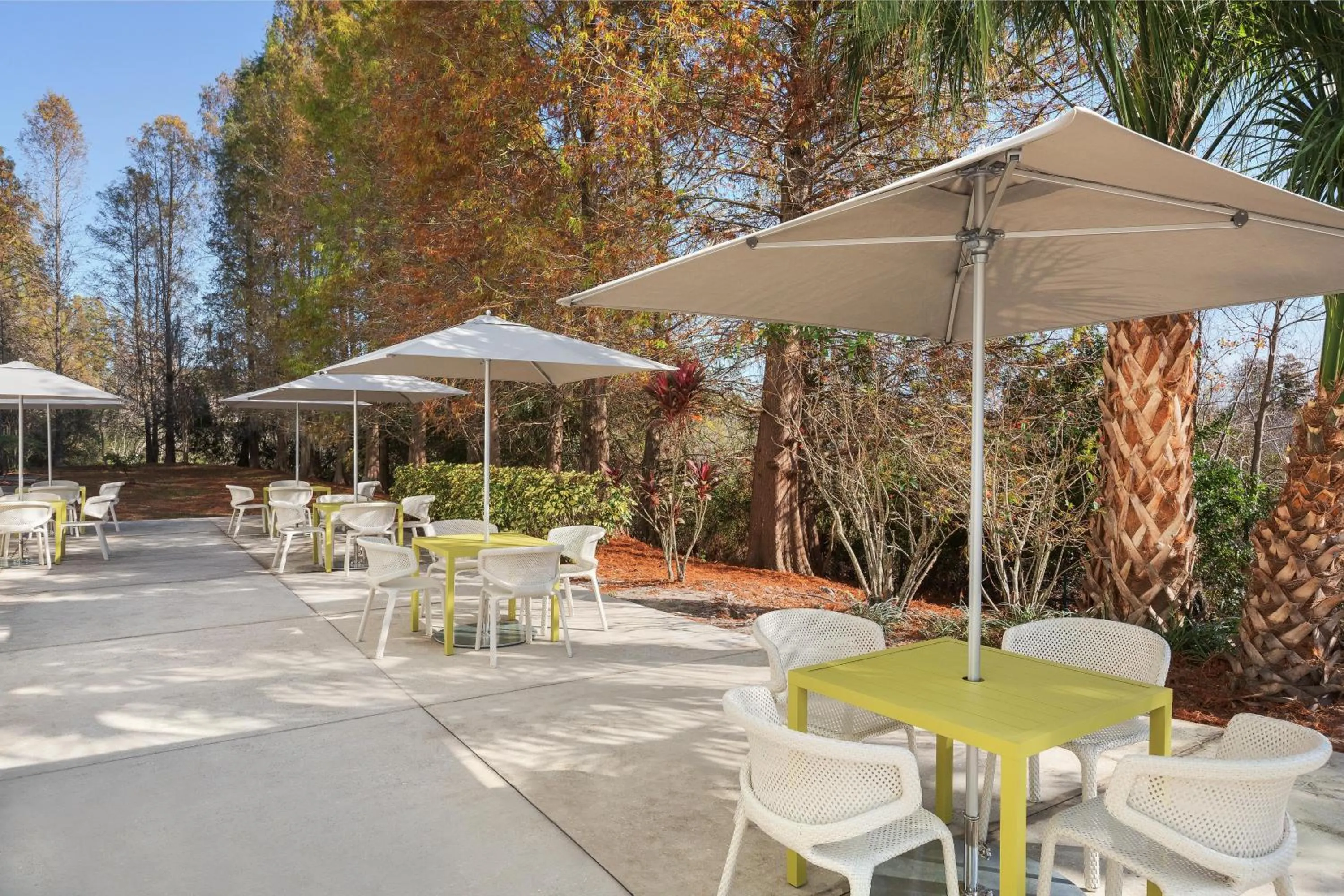 Patio in Hilton Garden Inn Tampa North