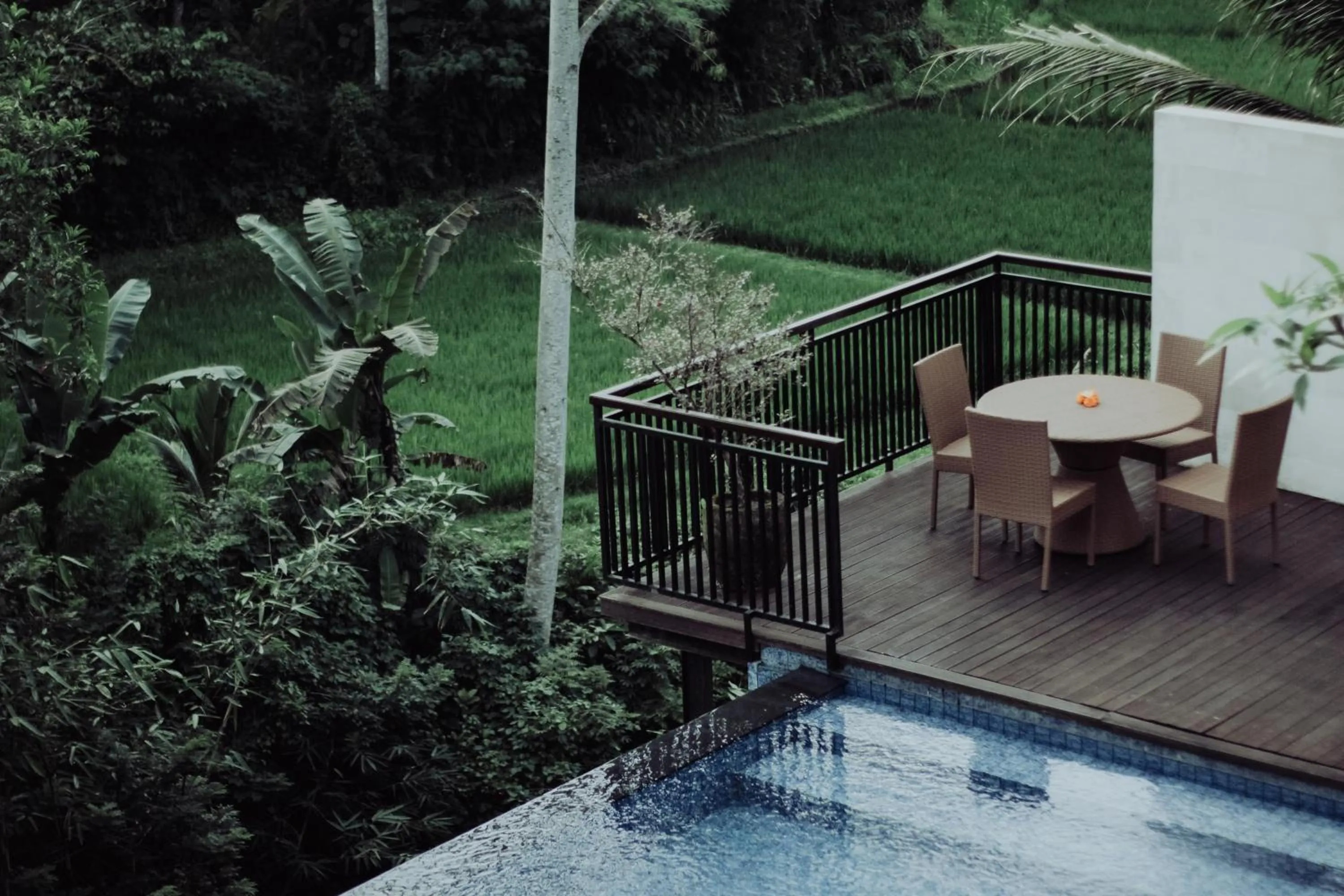 View (from property/room) in River Sakti Ubud by Prasi