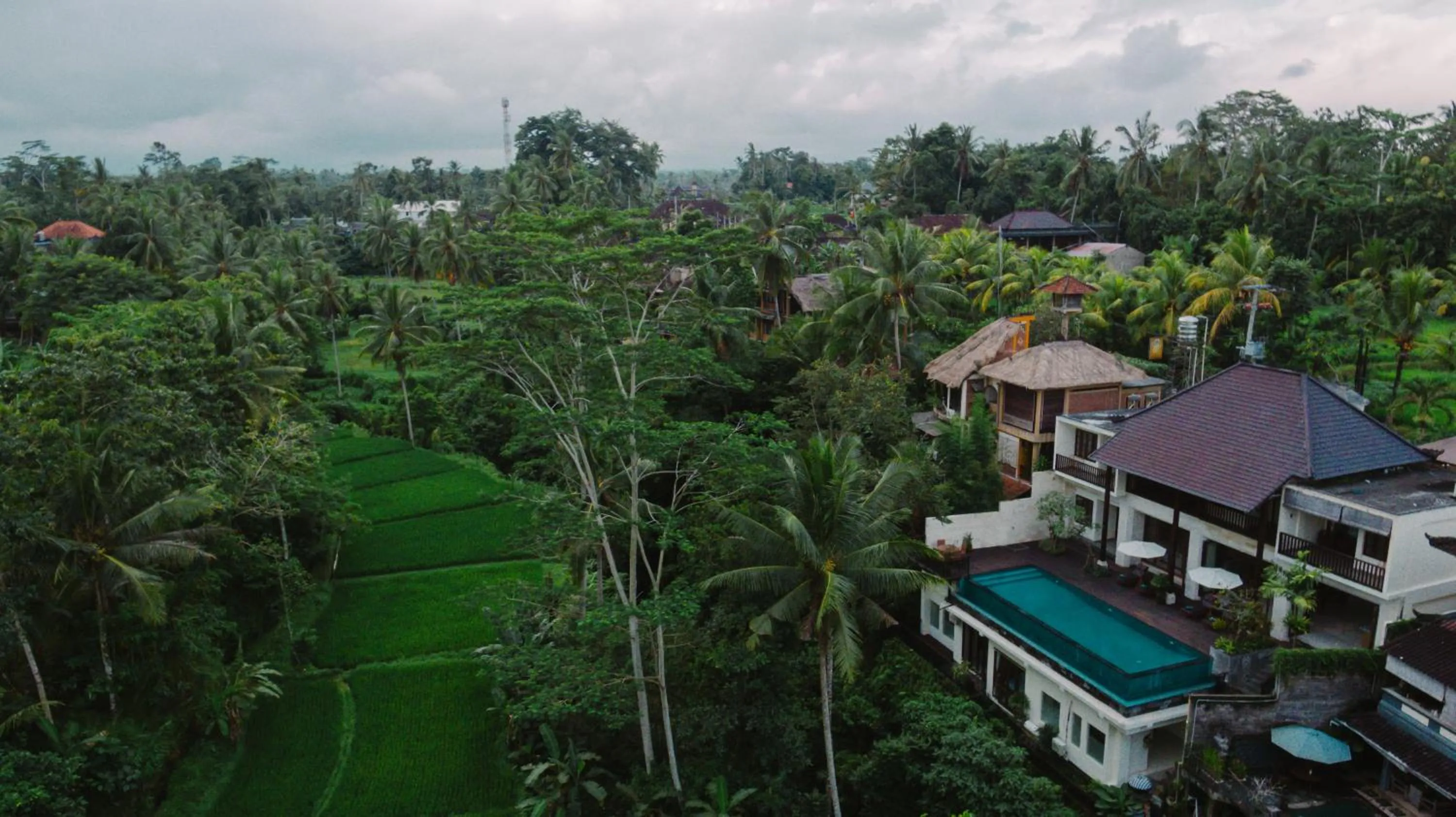 View (from property/room) in River Sakti Ubud by Prasi