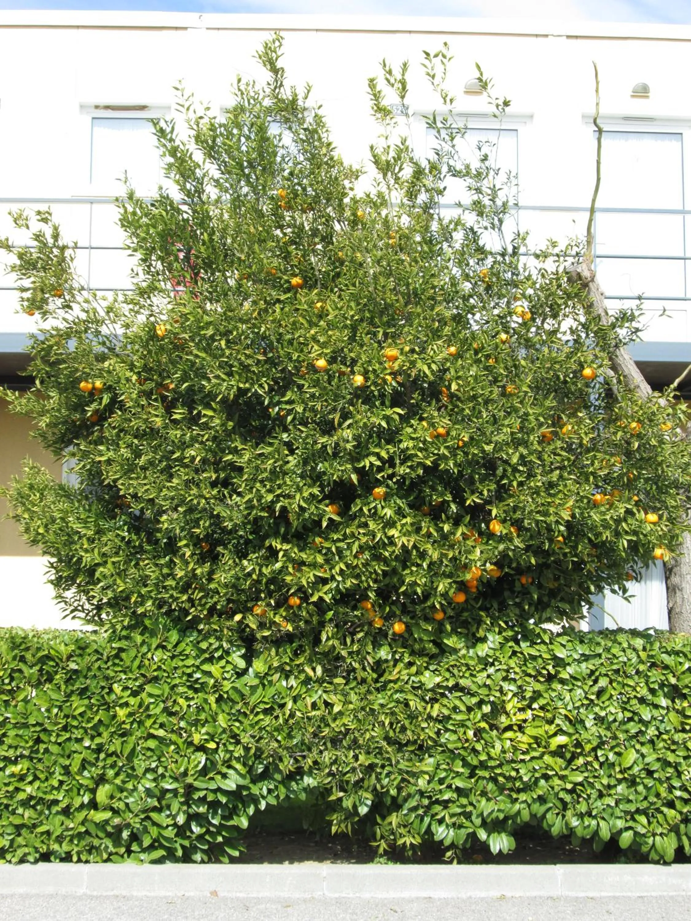 Facade/entrance in Top Motel