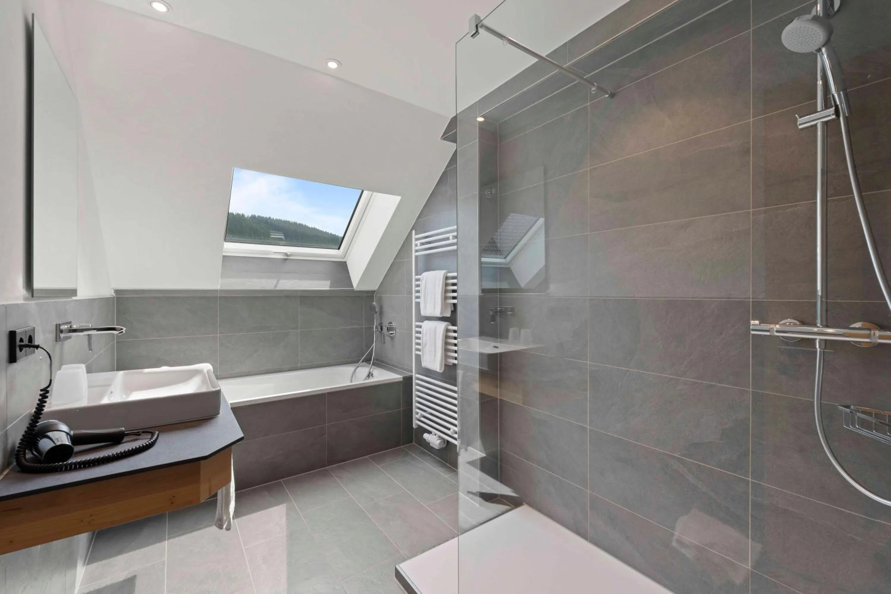 Shower in Hotel Schlehdorn