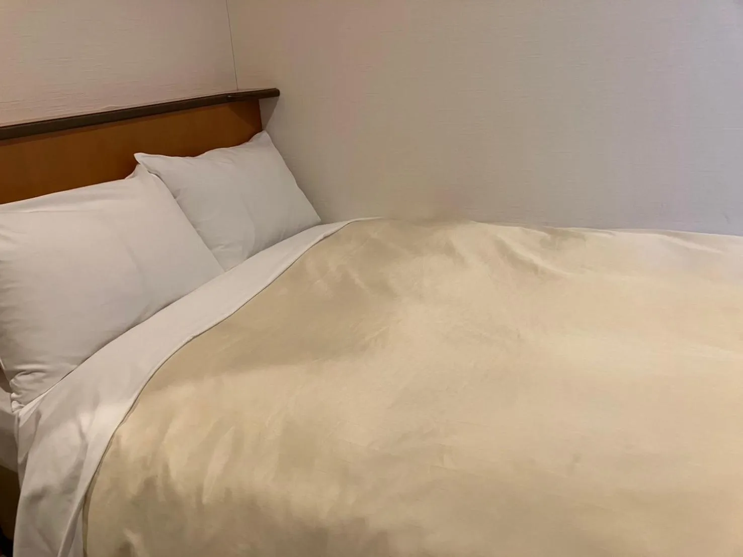 Photo of the whole room, Bed in Hotel Kakegawa Hills