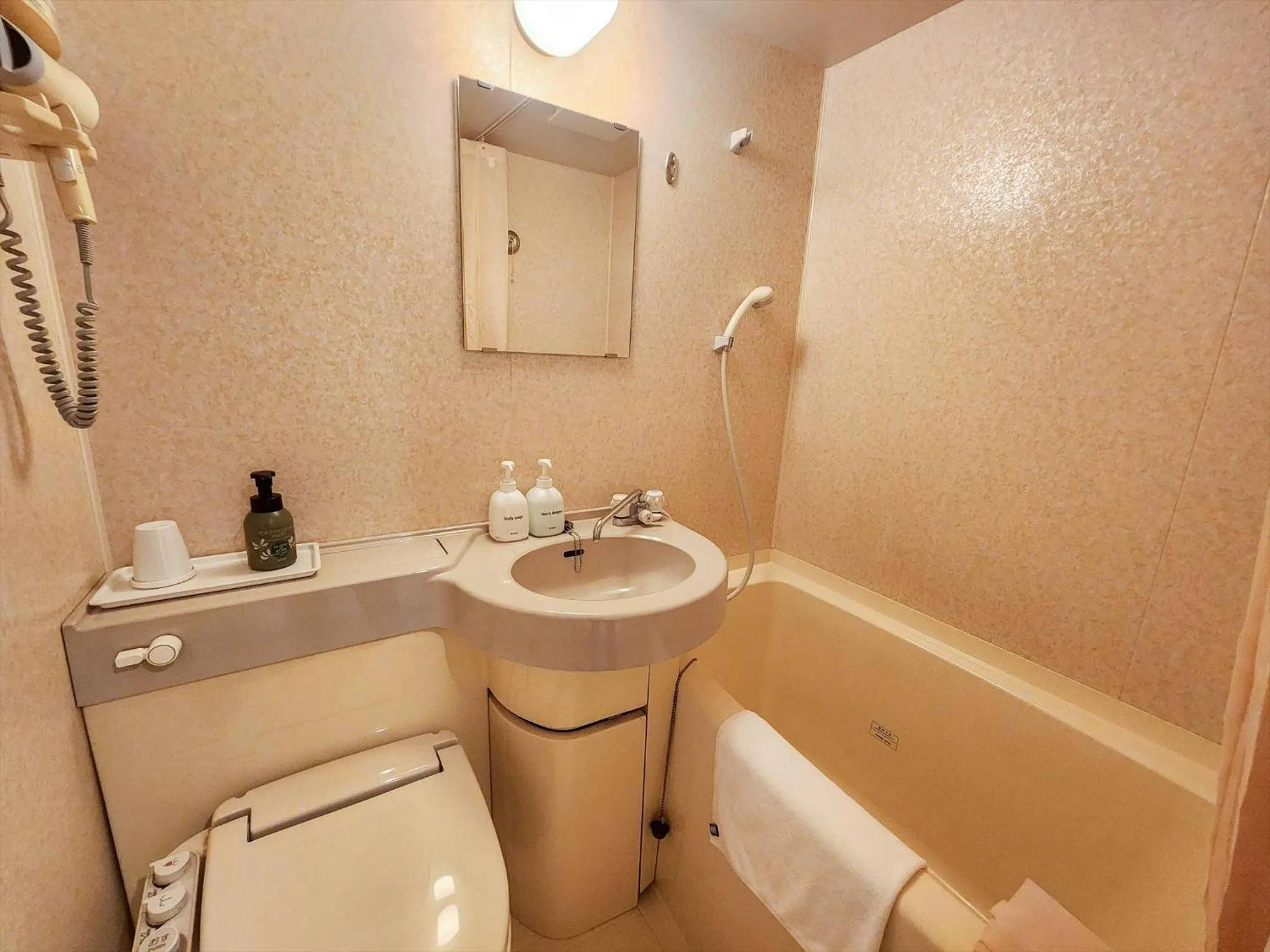 Photo of the whole room in Hotel Kakegawa Hills