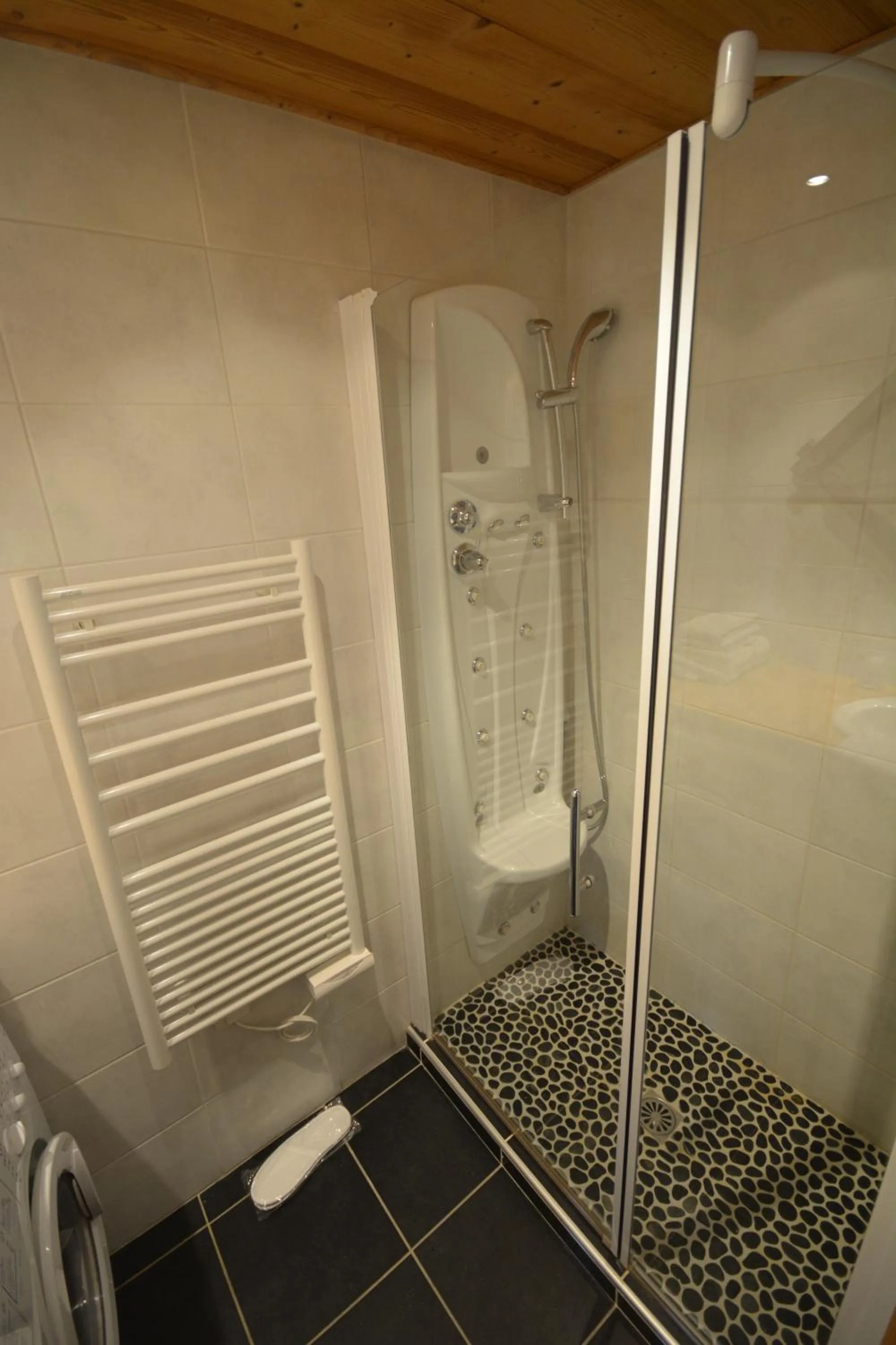 Shower in Le Relais Du Mont Blanc
