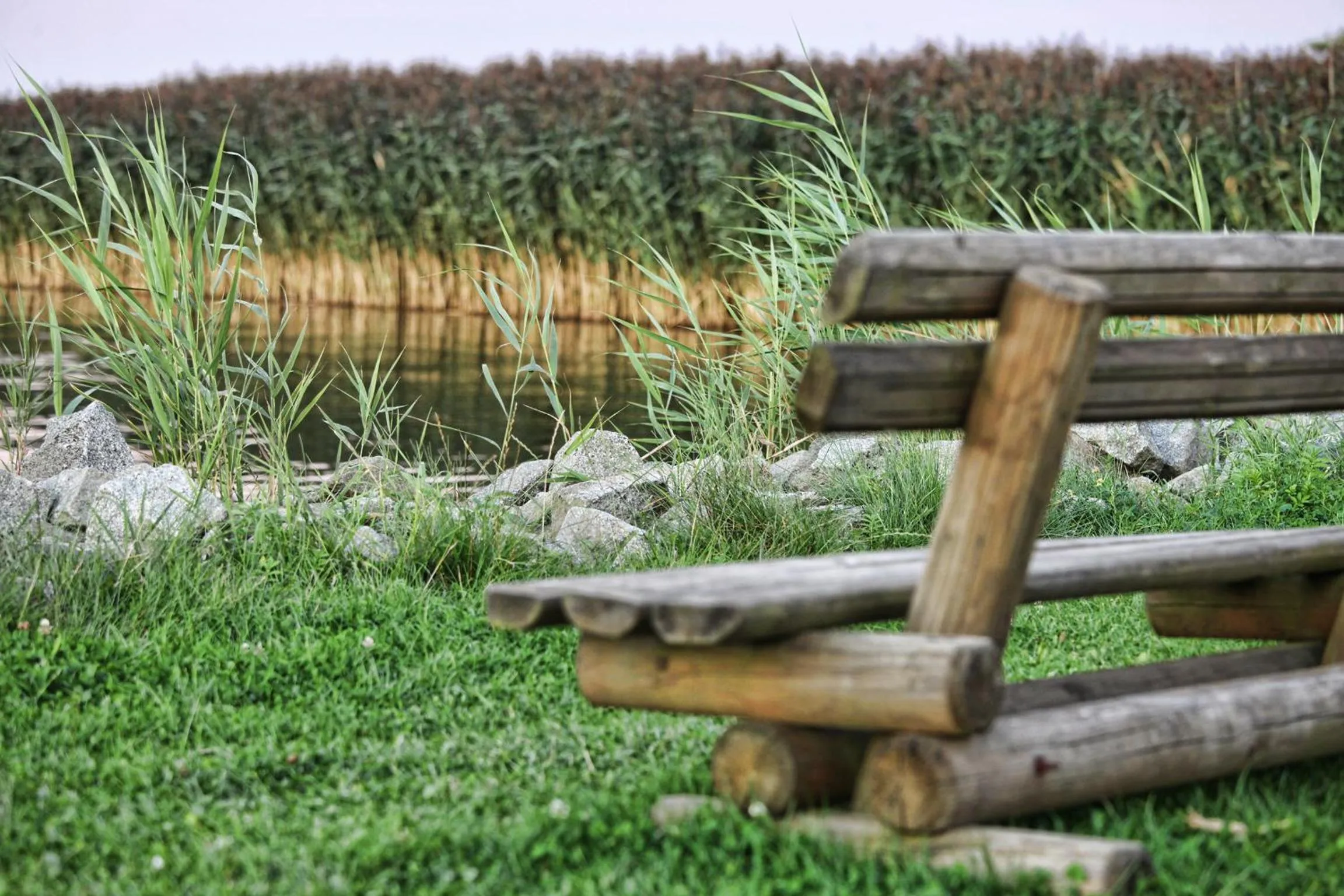 Day in HAFFHUS - Hotel & Spa