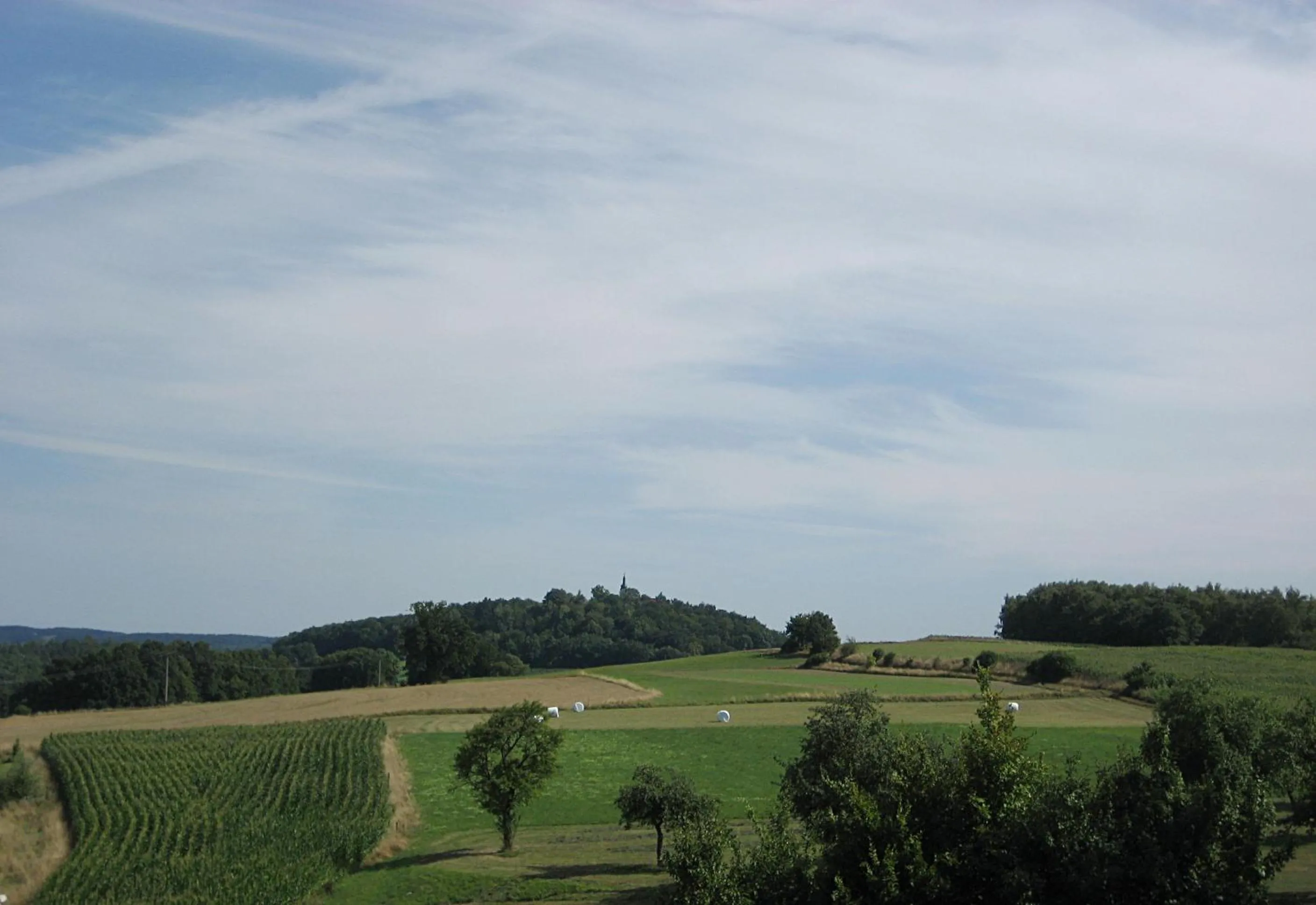 Natural landscape in Hotel-Gasthof "Zum Bartl"