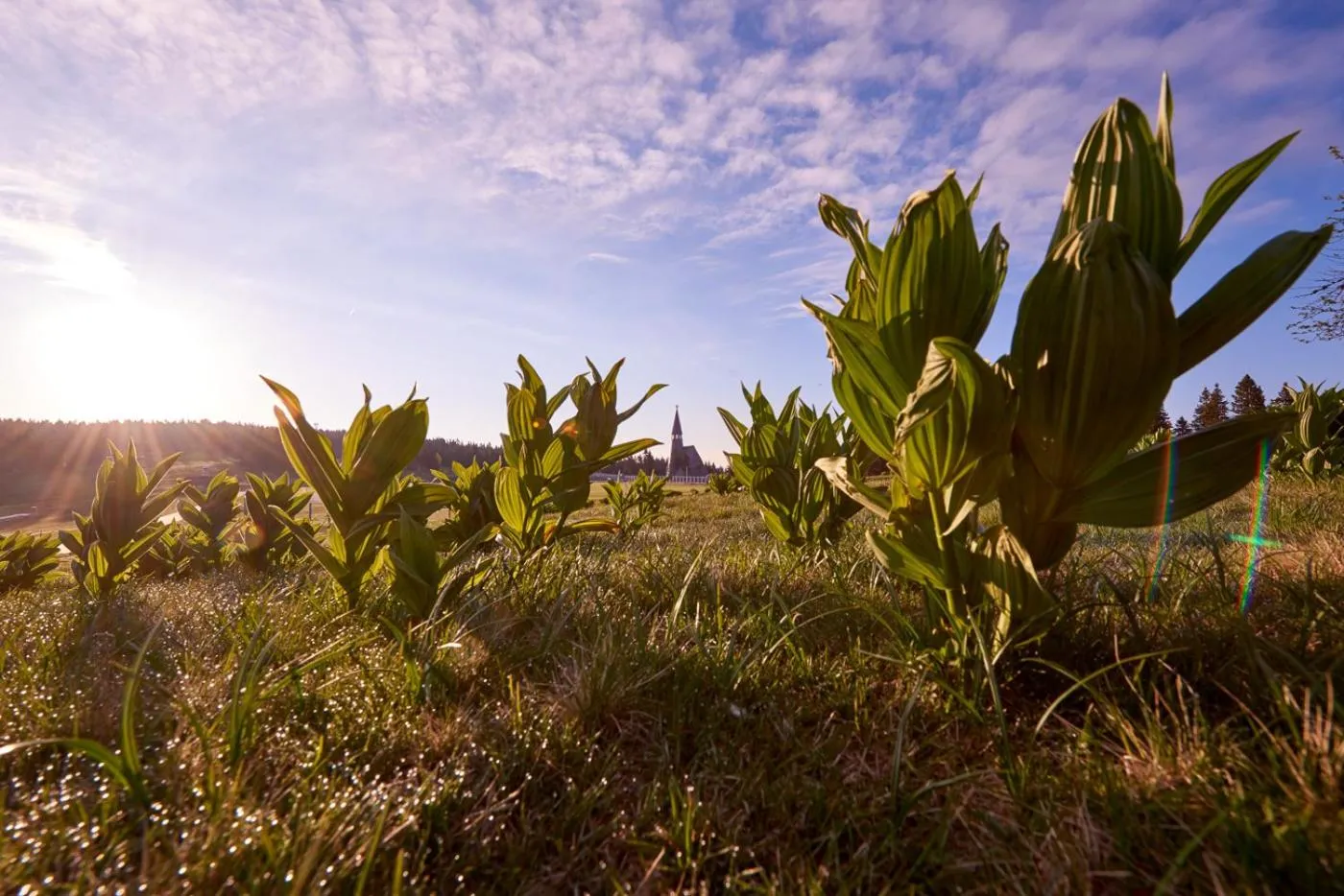 Hiking in Bungalows Rogla