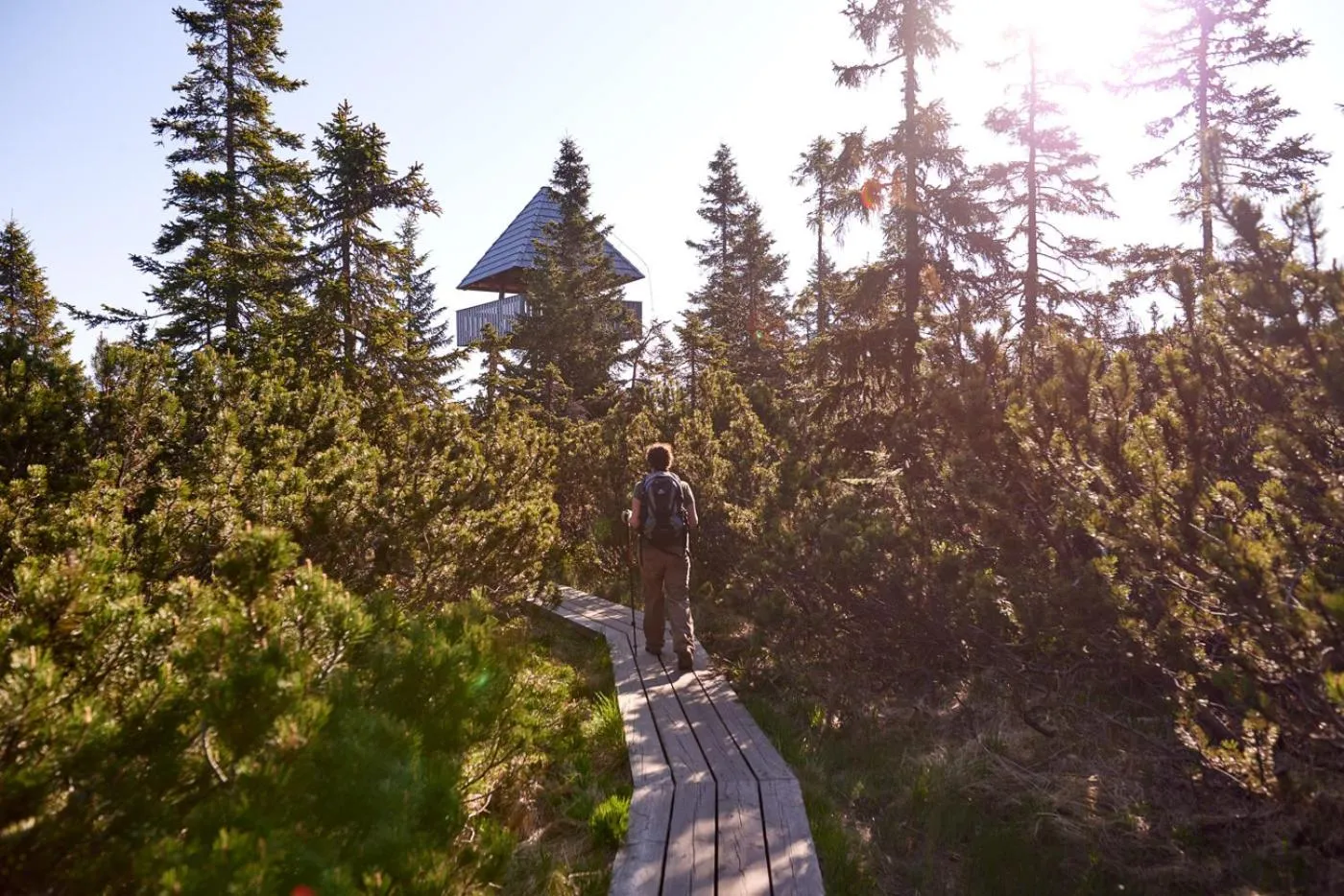 Hiking in Bungalows Rogla