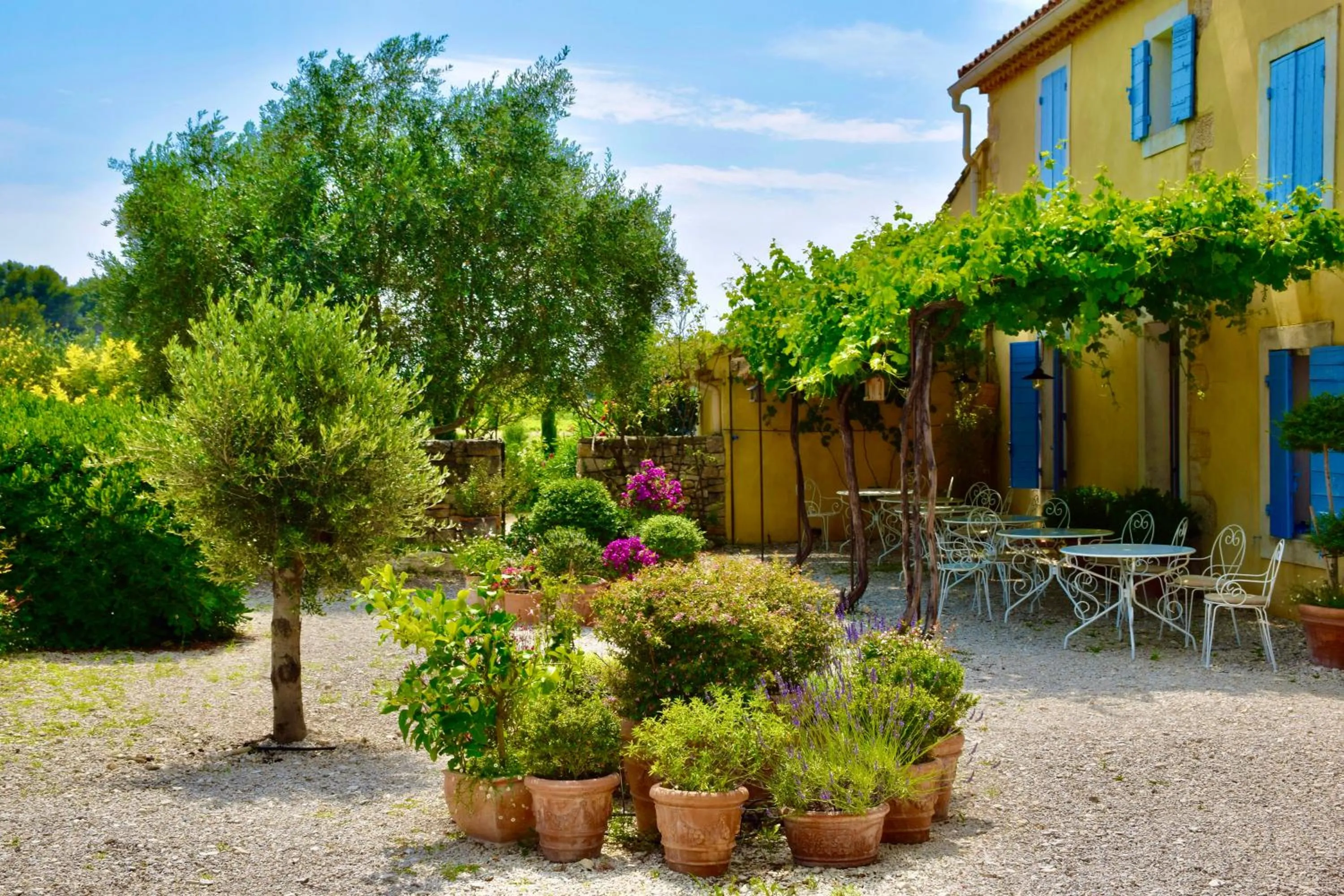 Garden in Bastide Saint-Didier