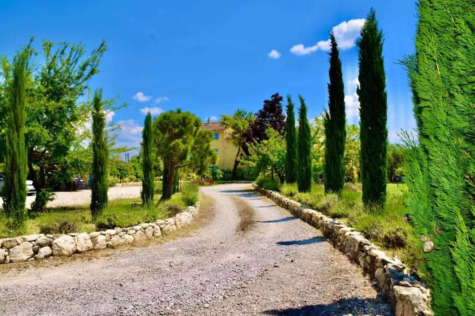 Garden in Bastide Saint-Didier