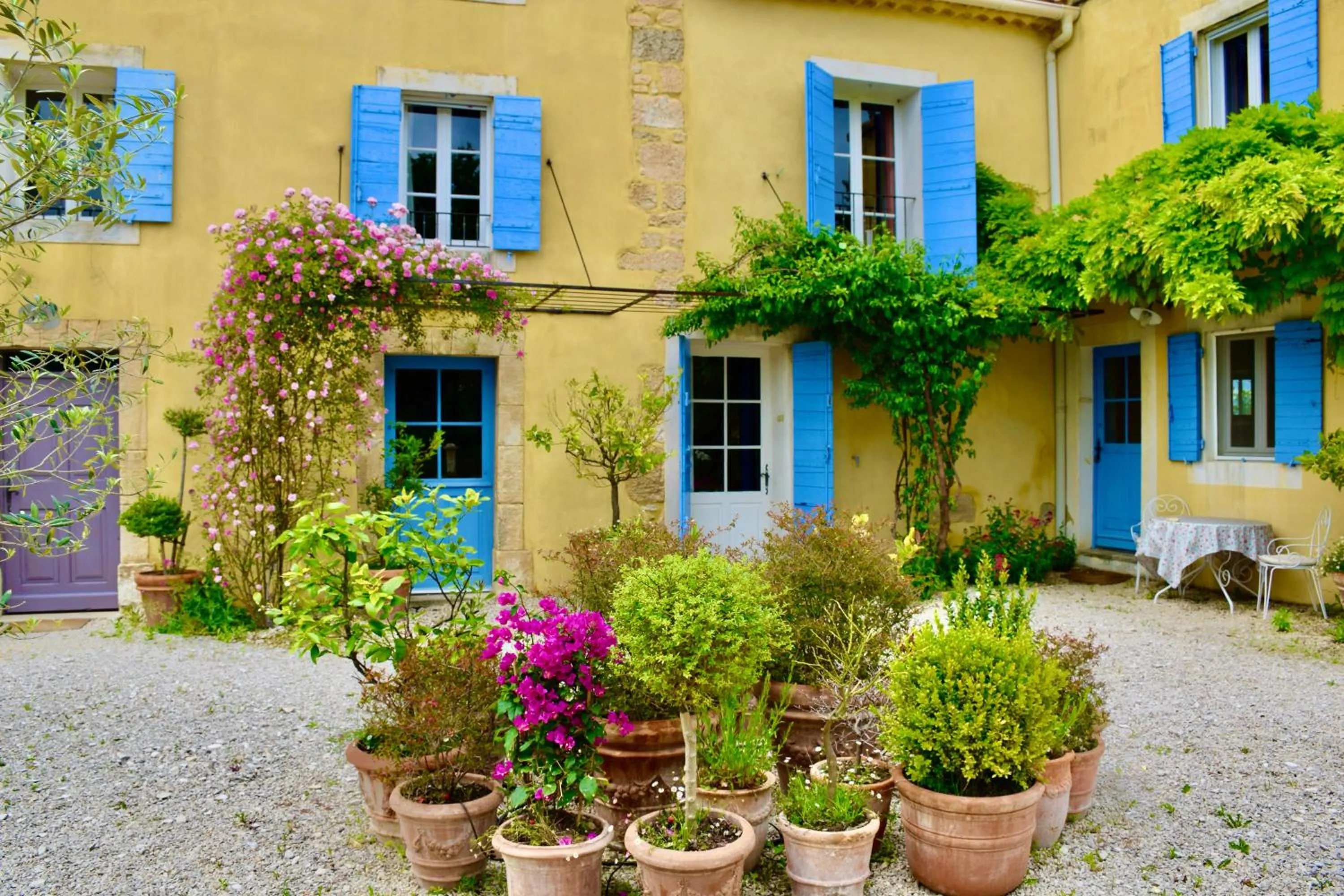 Garden in Bastide Saint-Didier